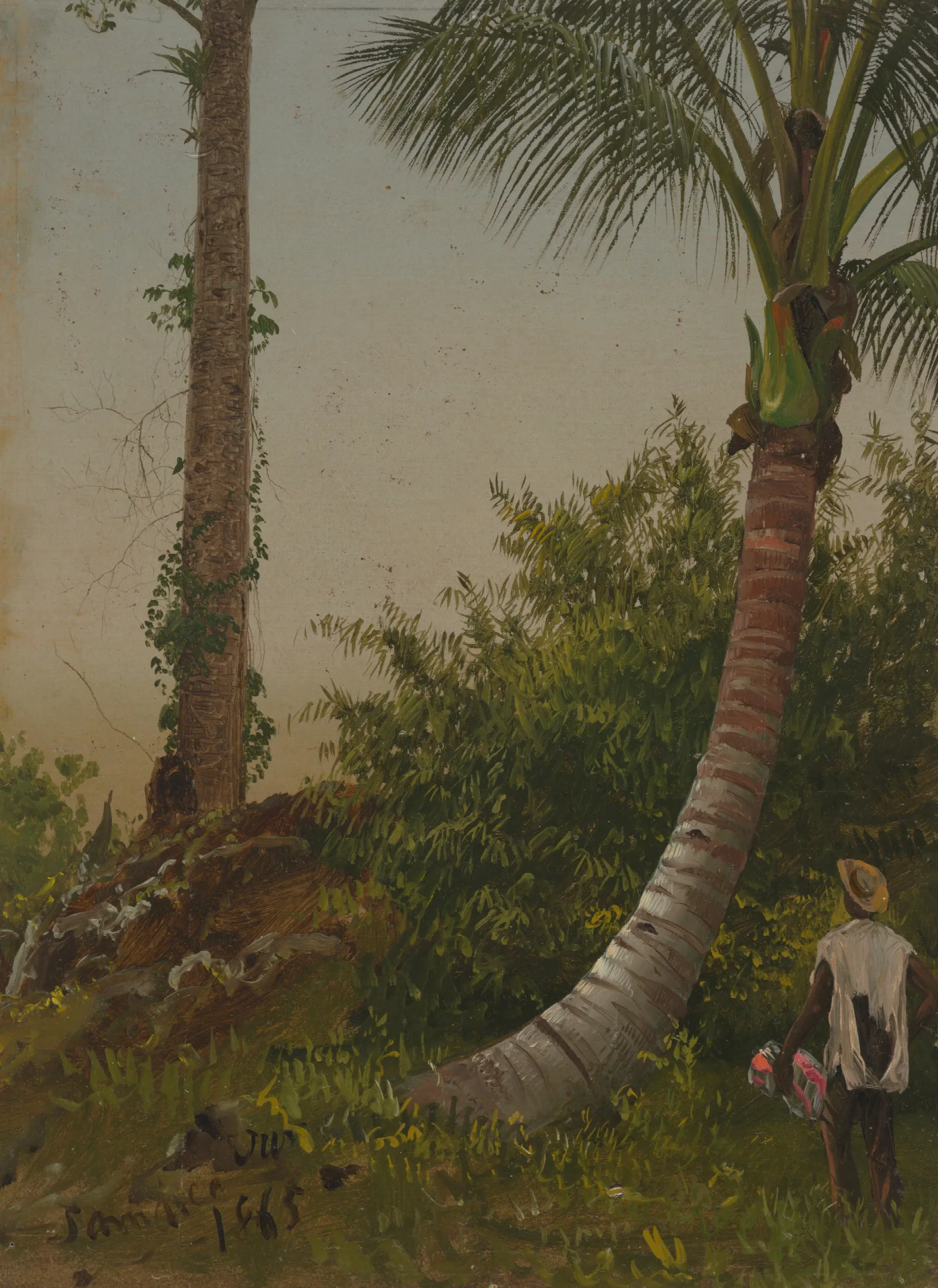 Trees In Jamaica West Indies Wall Art by Frederic Edwin Church - Canvas Print
