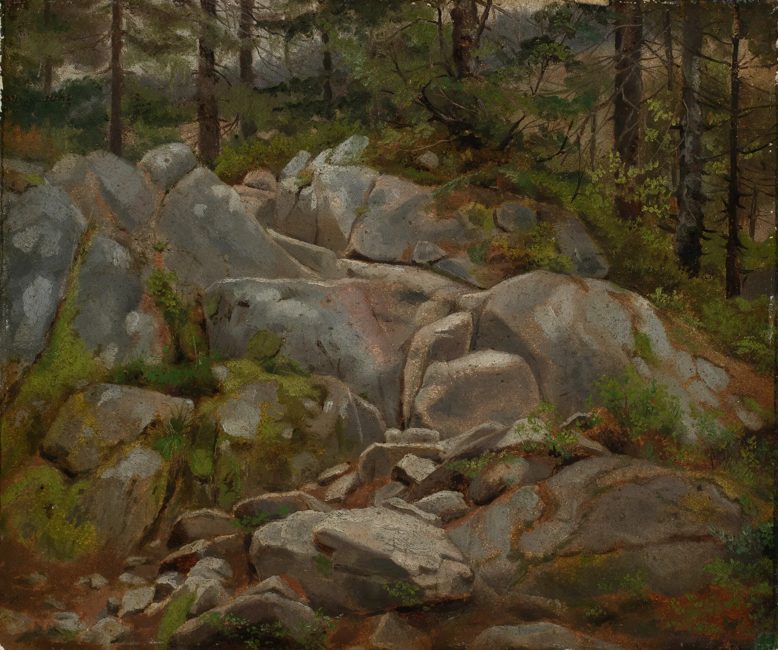 Felsblocke Mit Tannenstammen Wall Art by Hans Thoma - Canvas Print