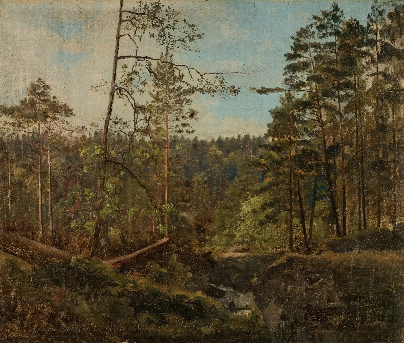 Fra Svinestad Mandal Wall Art by Amaldus Nielsen - Canvas Print