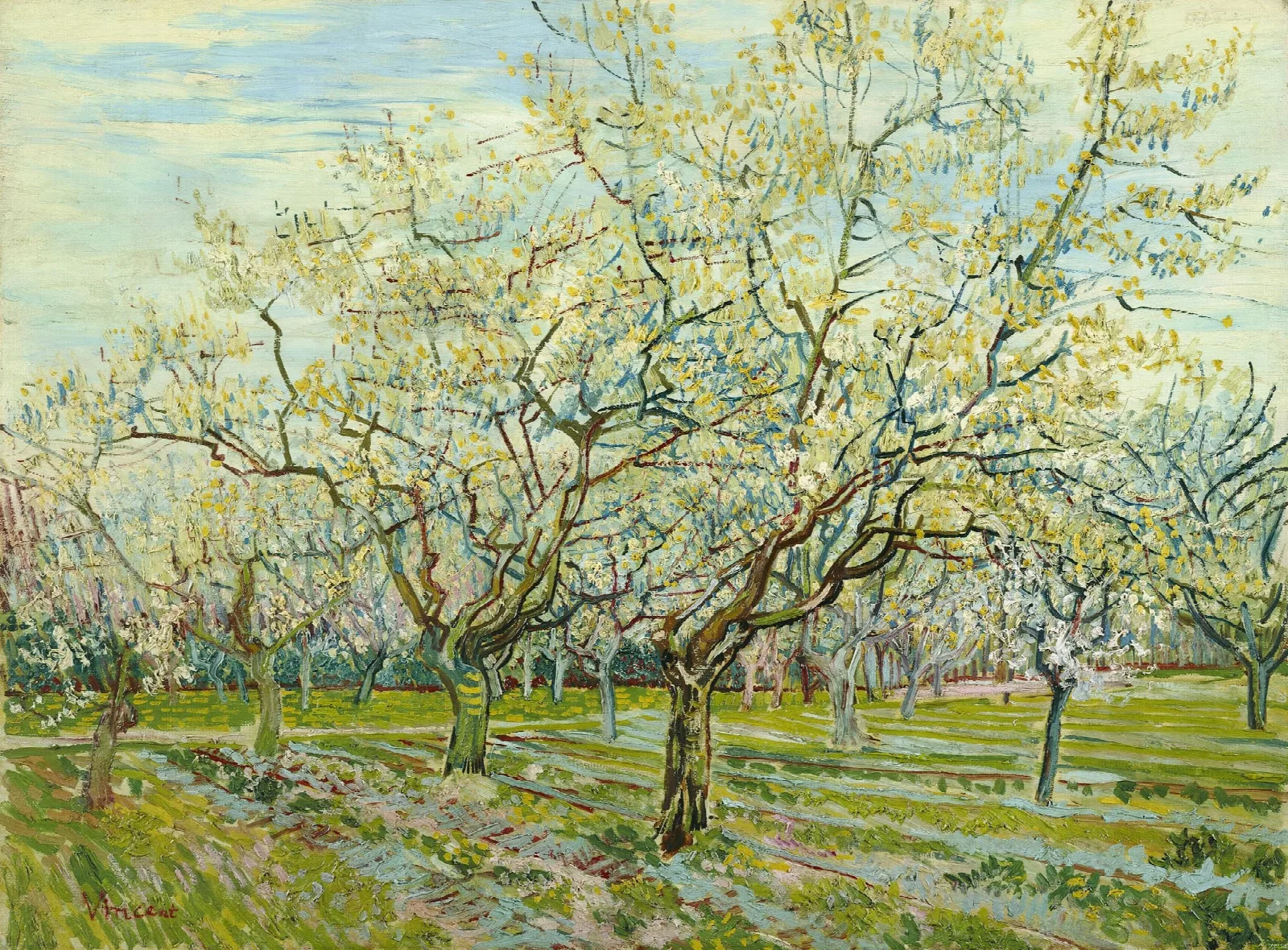 The White Orchard Wall Art by Vincent van Gogh - Canvas Print