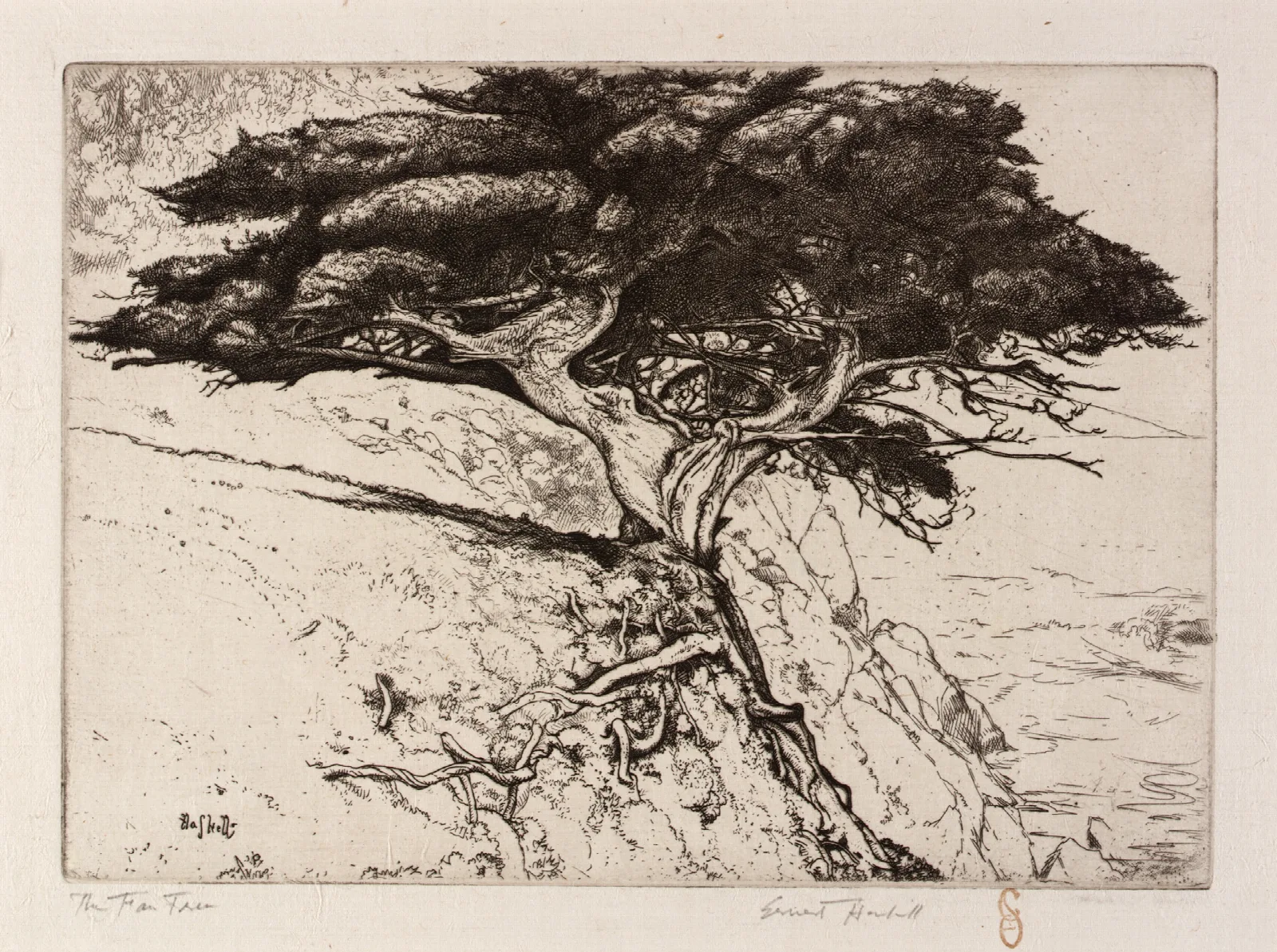 The Fan Tree Wall Art by Ernest Haskell - Canvas Print