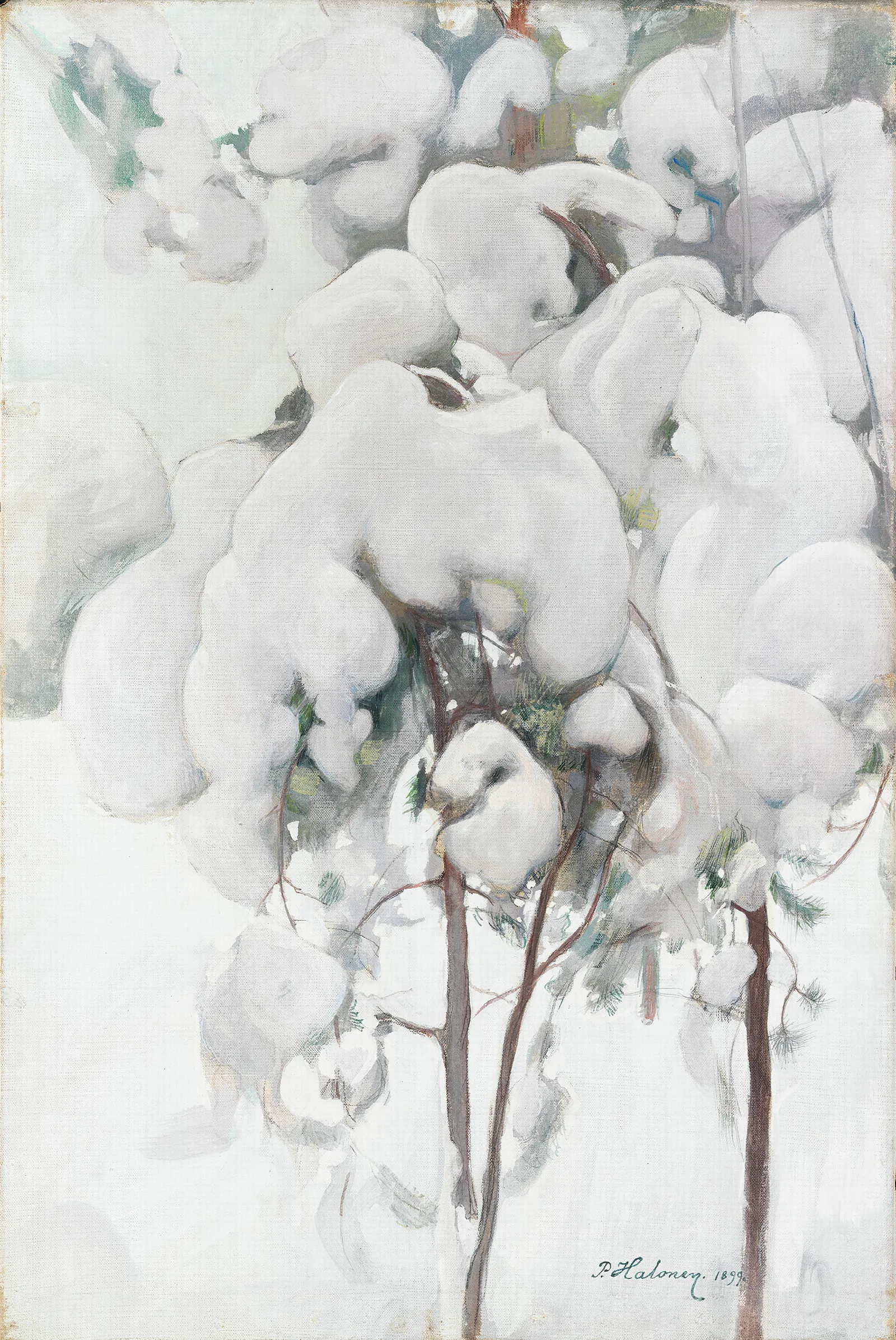 Snow Covered Pine Saplings Wall Art by Pekka Halonen - Canvas Print