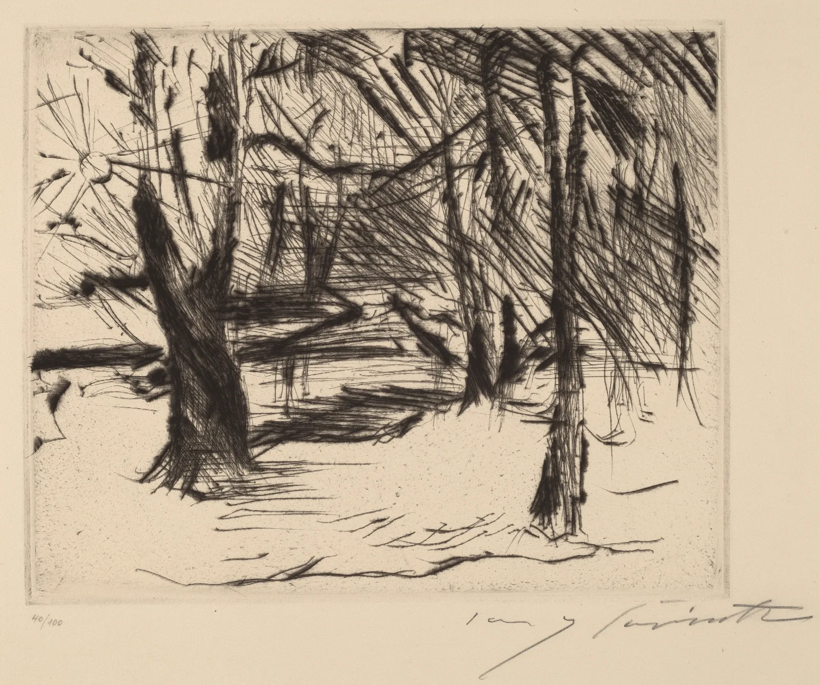 Trees With The Sun Winter In The Tiergarten Wall Art by Lovis Corinth - Canvas Print