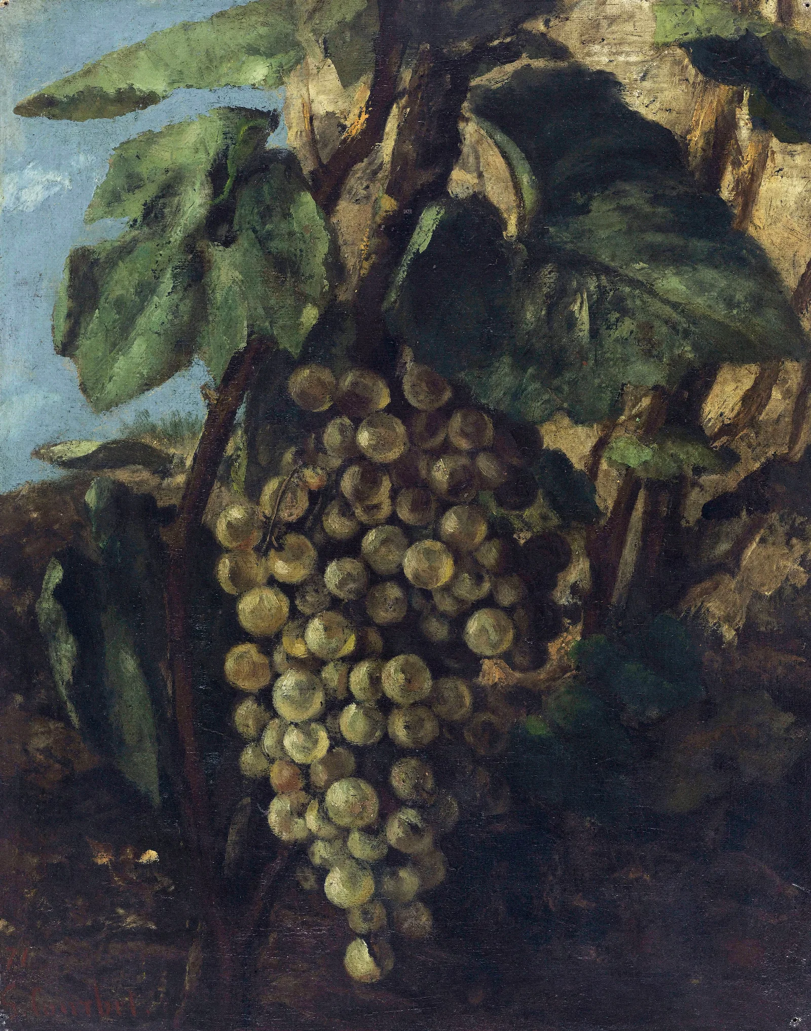 Grappe De Raisins Wall Art by Gustave Courbet - Canvas Print