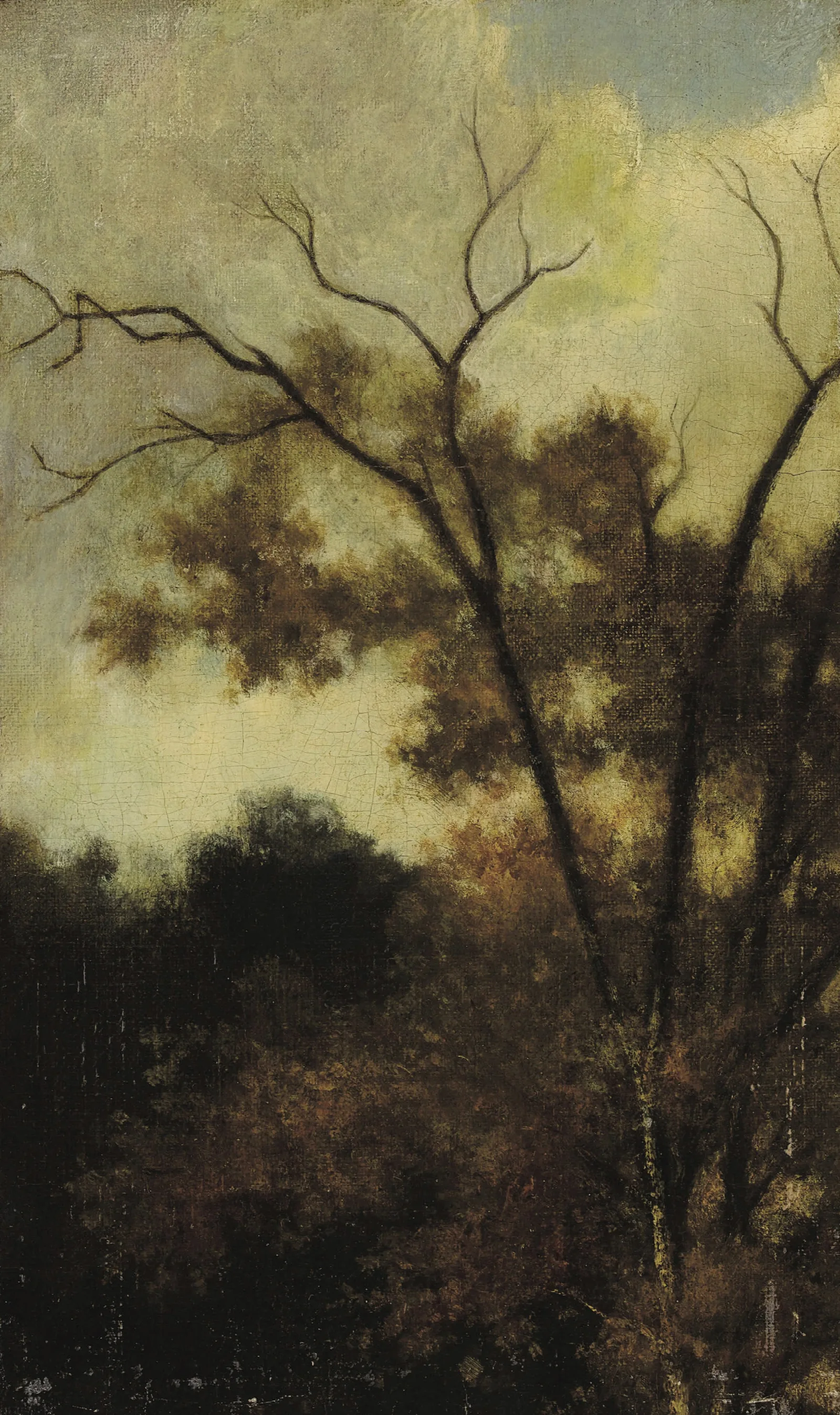 Woodland Landscape 2 Wall Art by Charles François Daubigny - Canvas Print