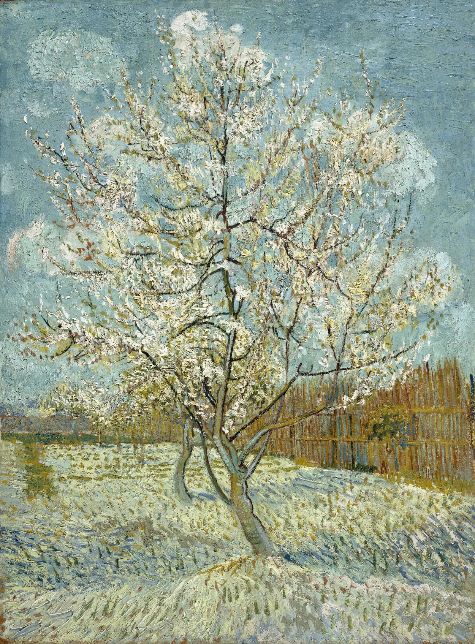 The Pink Peach Tree Wall Art by Vincent van Gogh - Canvas Print