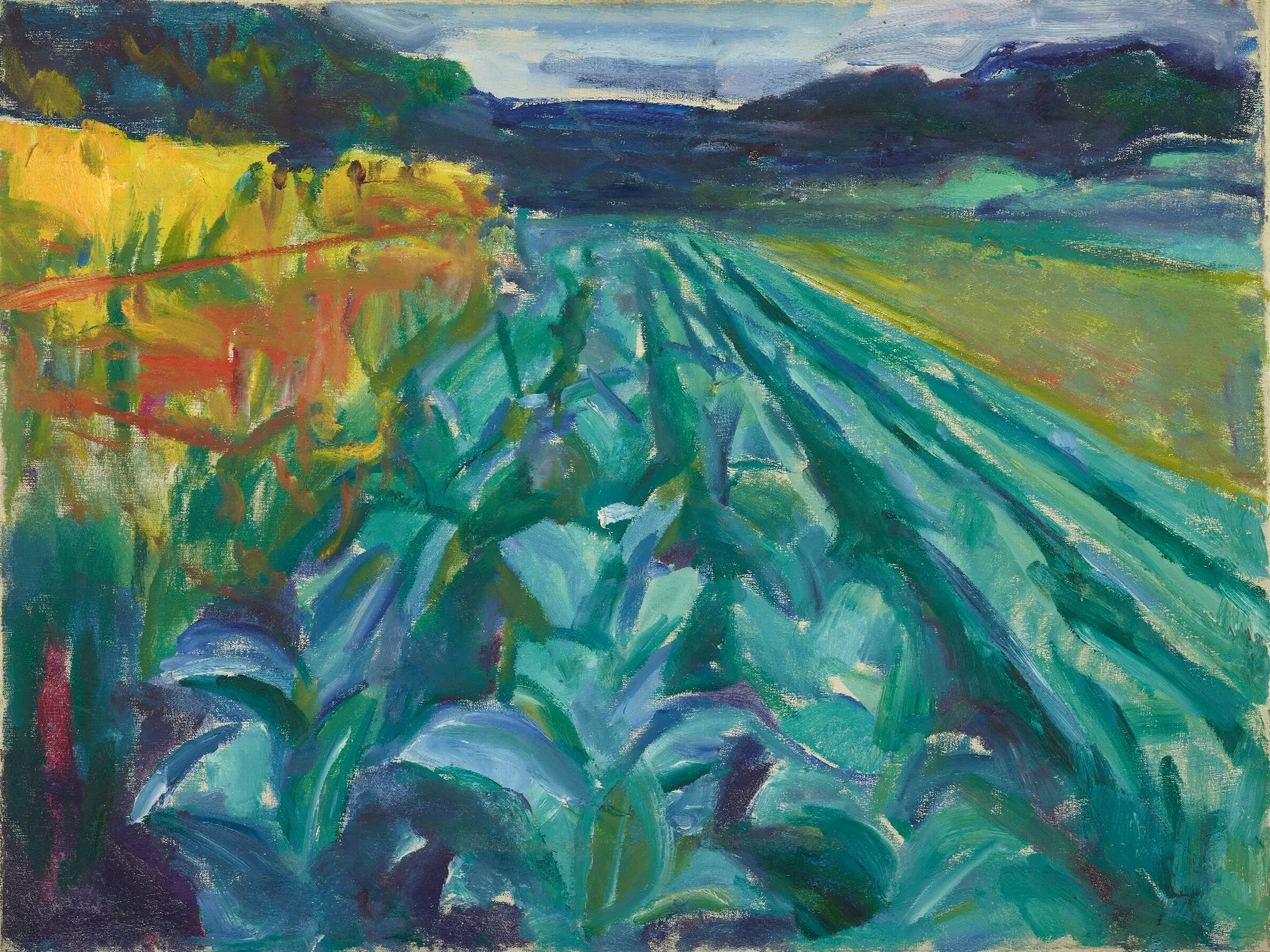 Cabbage Field Wall Art by Edvard Munch - Canvas Print