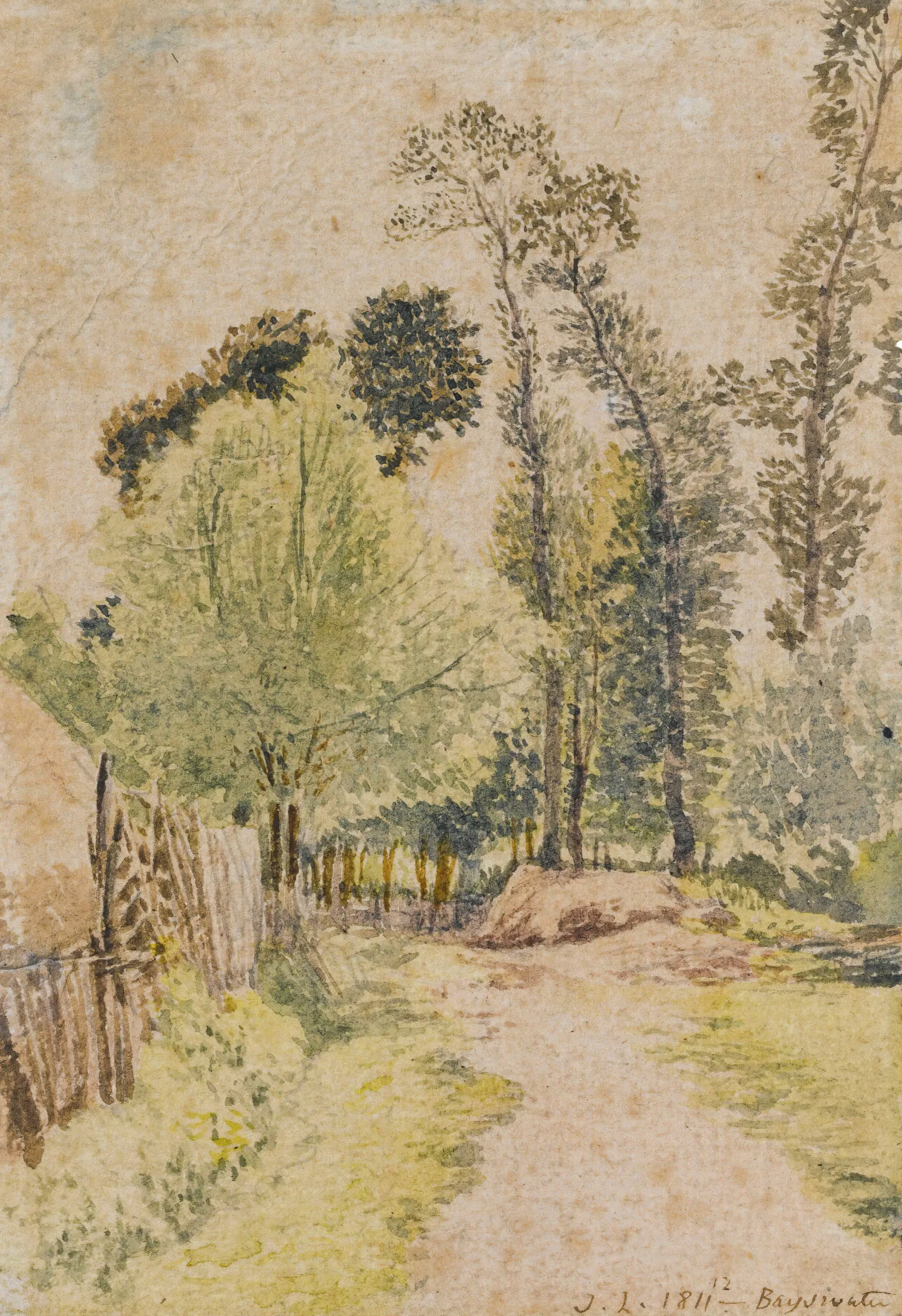 Study Of Trees At Bayswater London Wall Art by John Linnell - Canvas Print