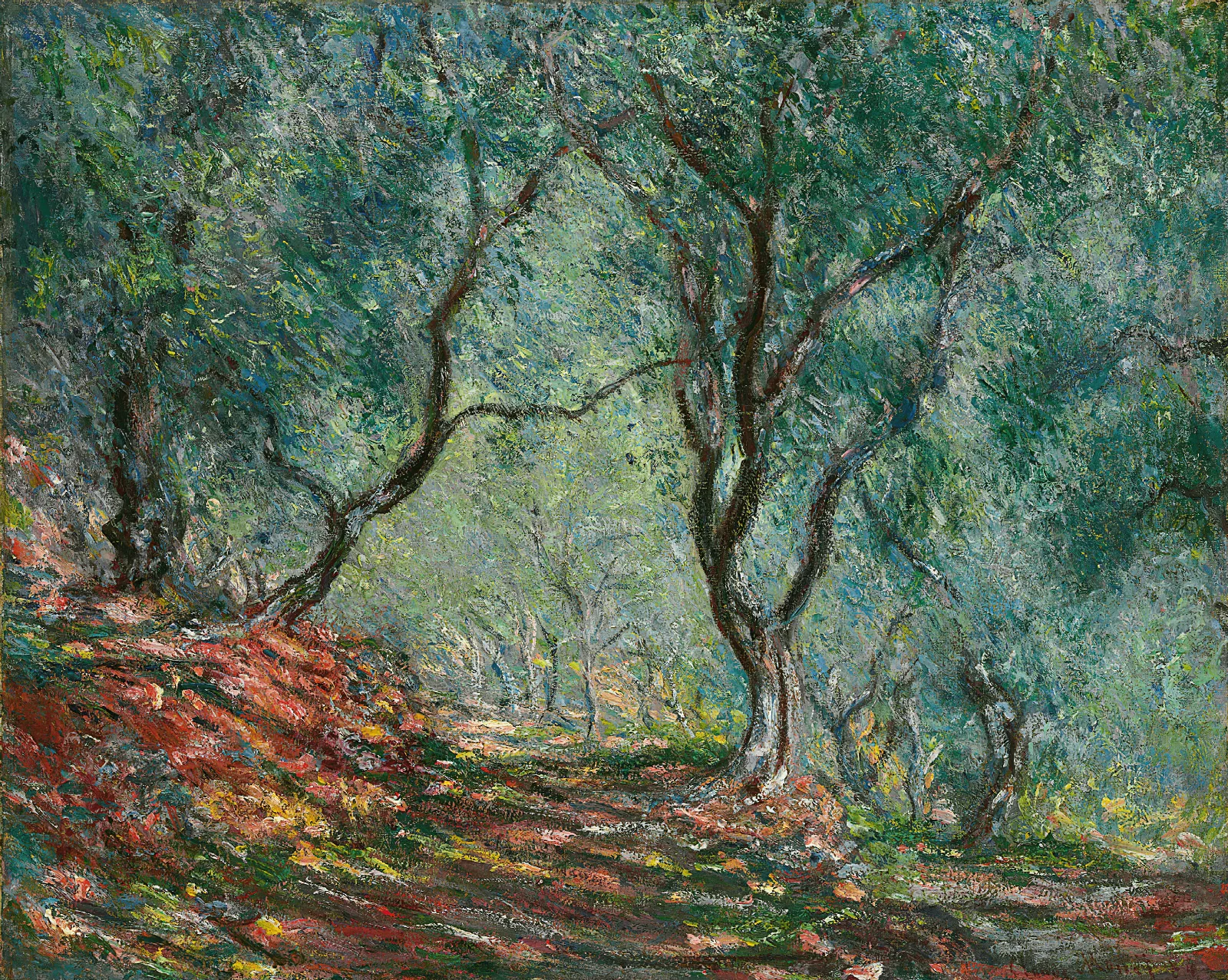Bois Doliviers Au Jardin Moreno Wall Art by Claude Monet - Canvas Print