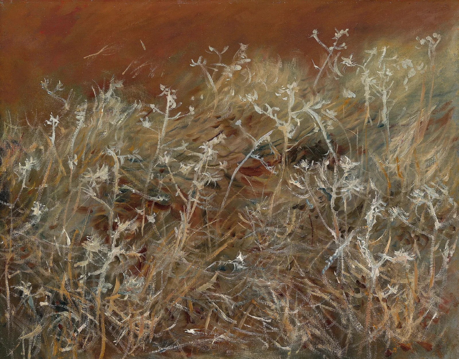 Thistles Wall Art by John Singer Sargent - Canvas Print
