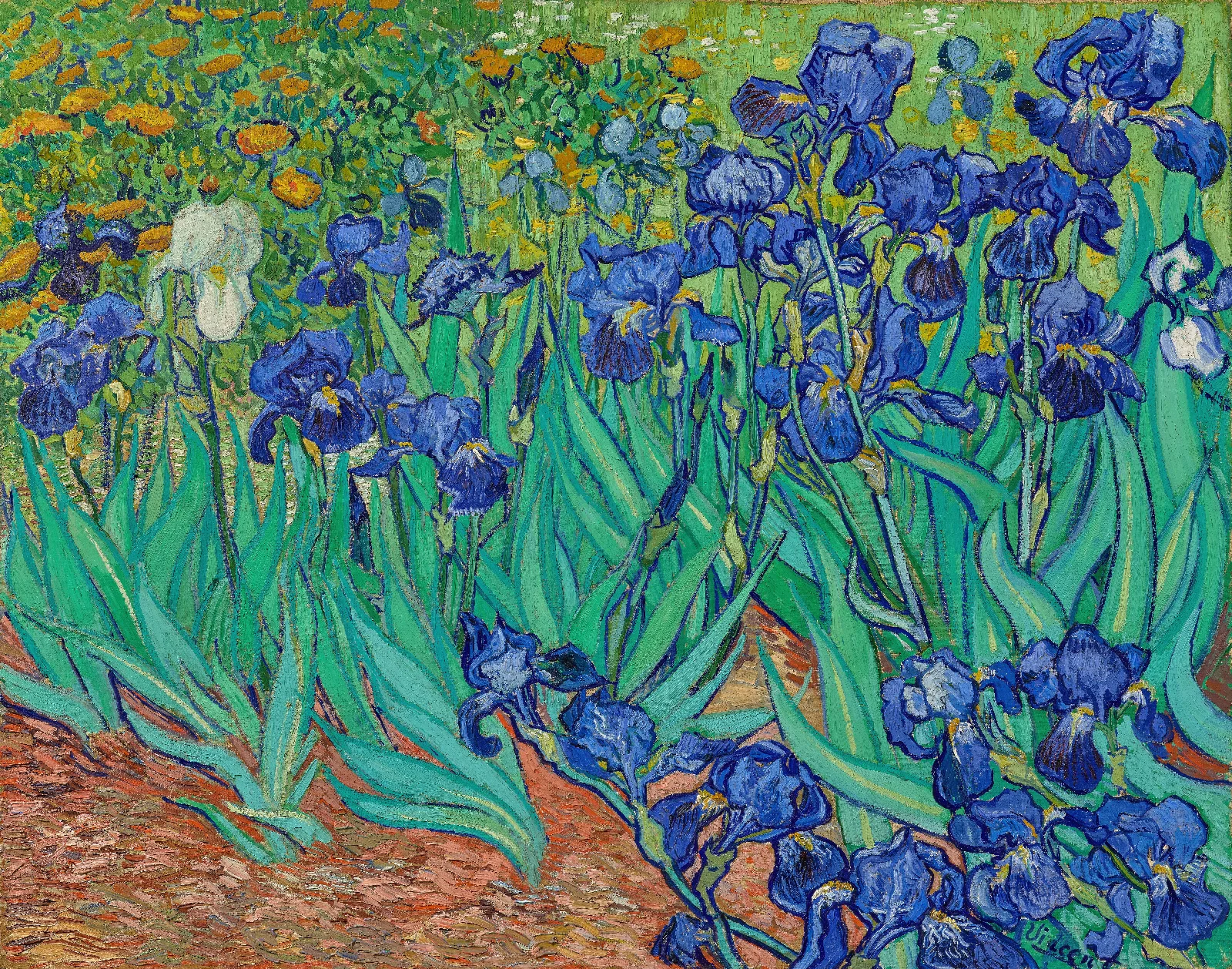 Irises Wall Art by Vincent van Gogh - Canvas Print