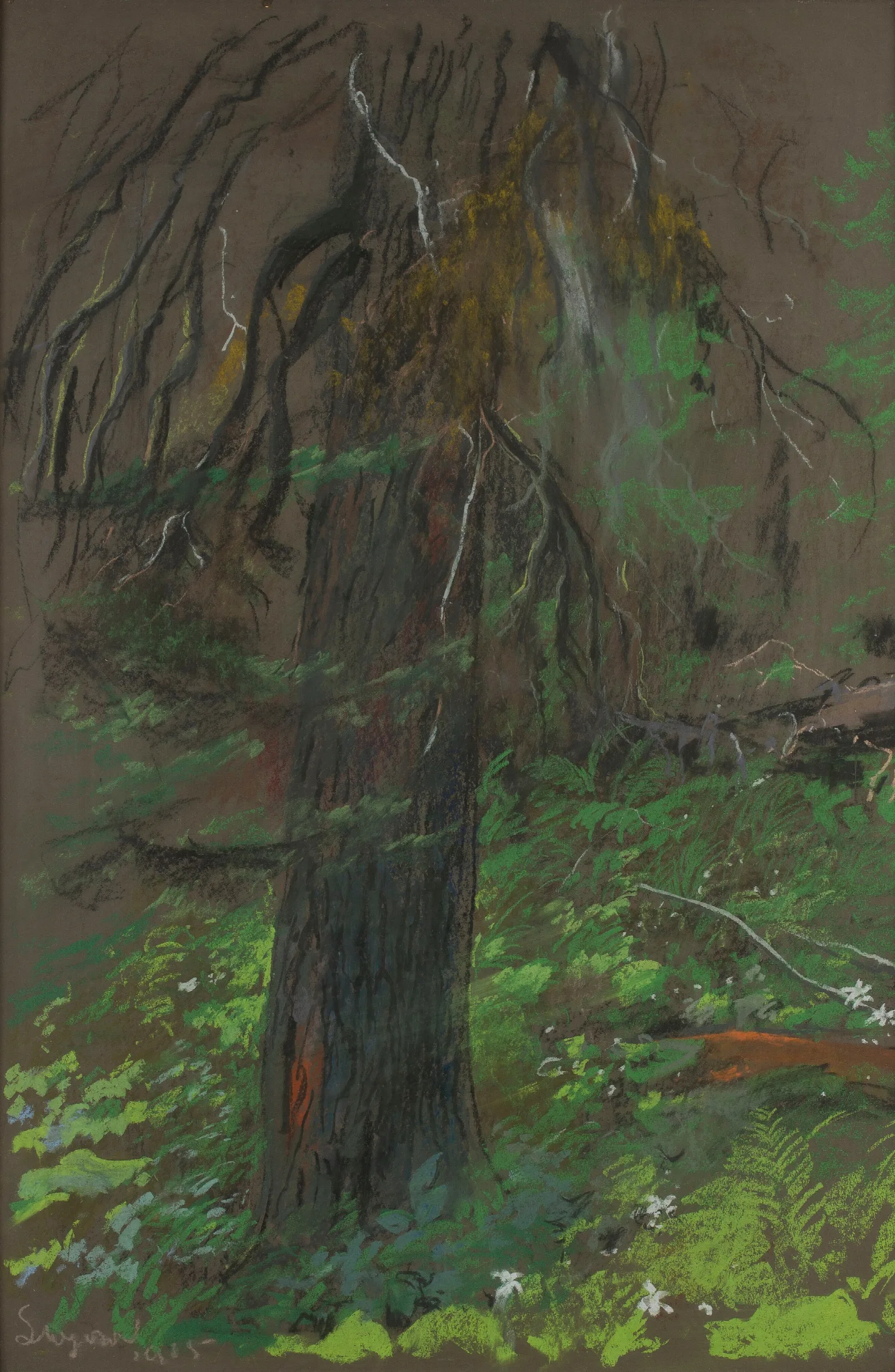 Spruce 2 Wall Art by Leon Wyczółkowski - Canvas Print