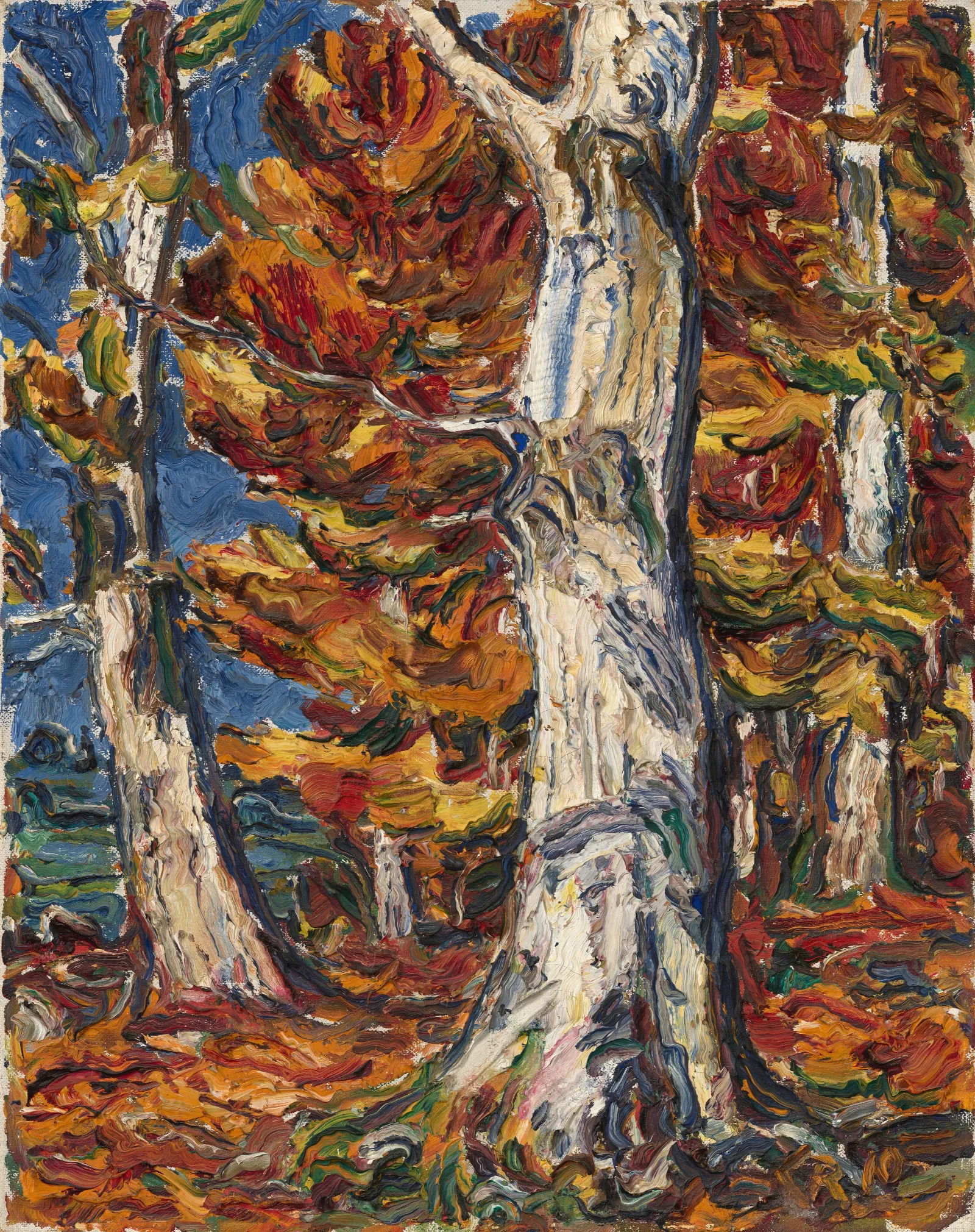 White Beeches In Fall Wall Art by Christian Rohlfs - Canvas Print
