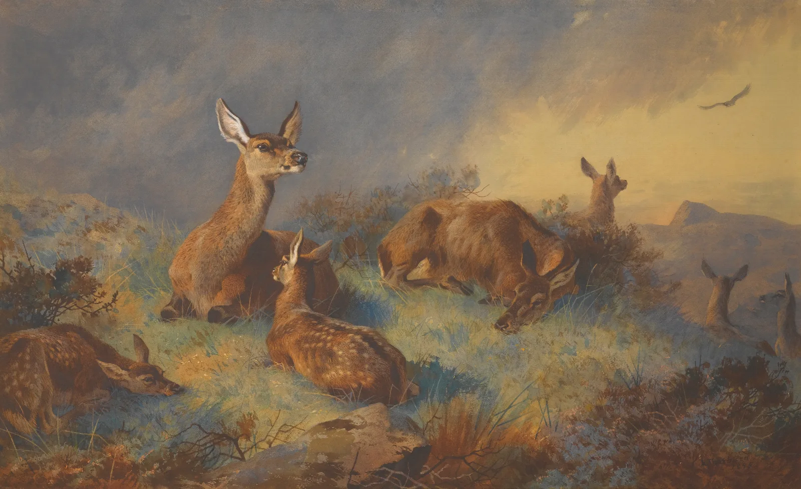 The Watchful Hinds Wall Art by Archibald Thorburn - Canvas Print