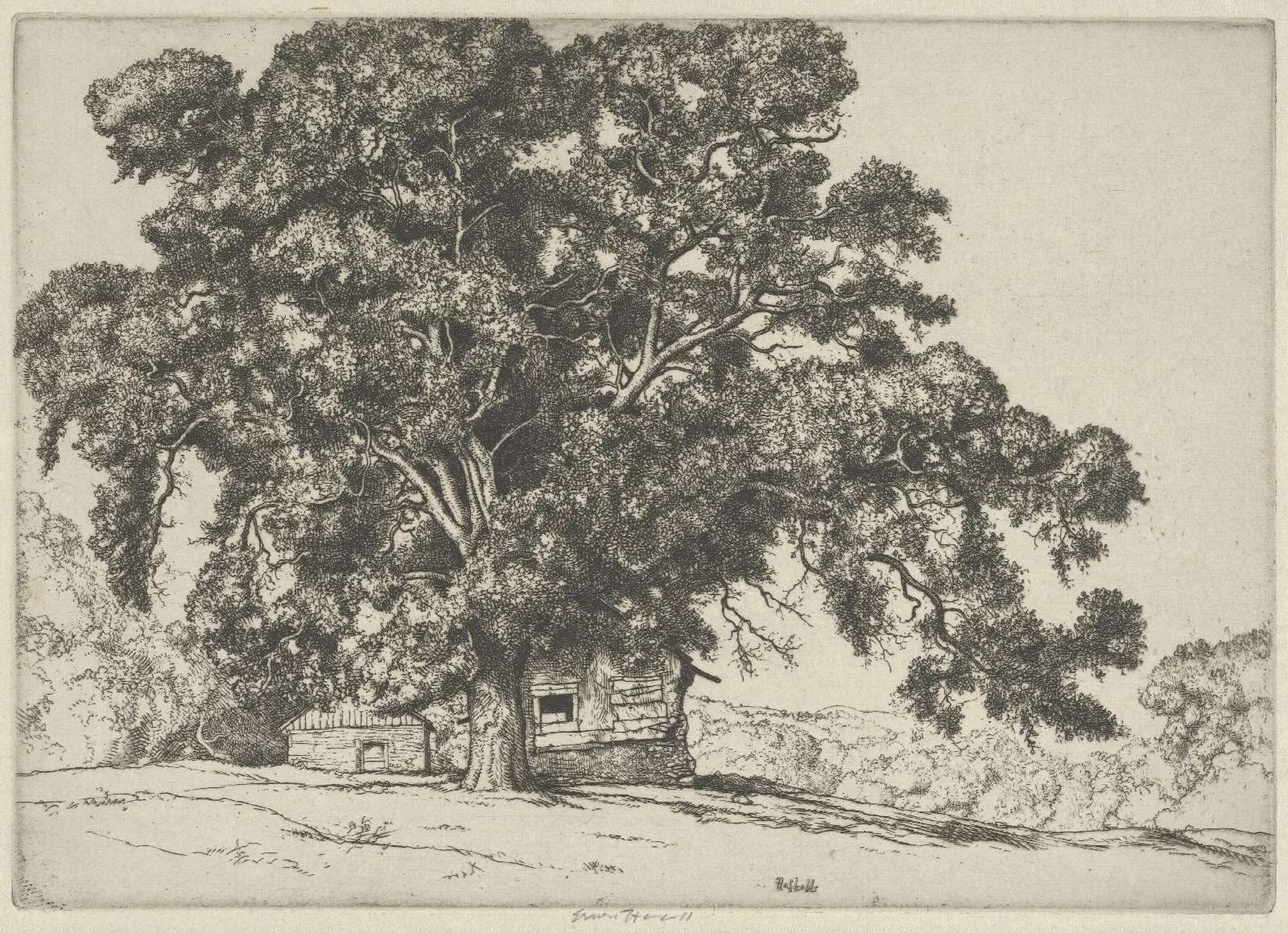 The Oak And The Adobe Wall Art by Ernest Haskell - Canvas Print