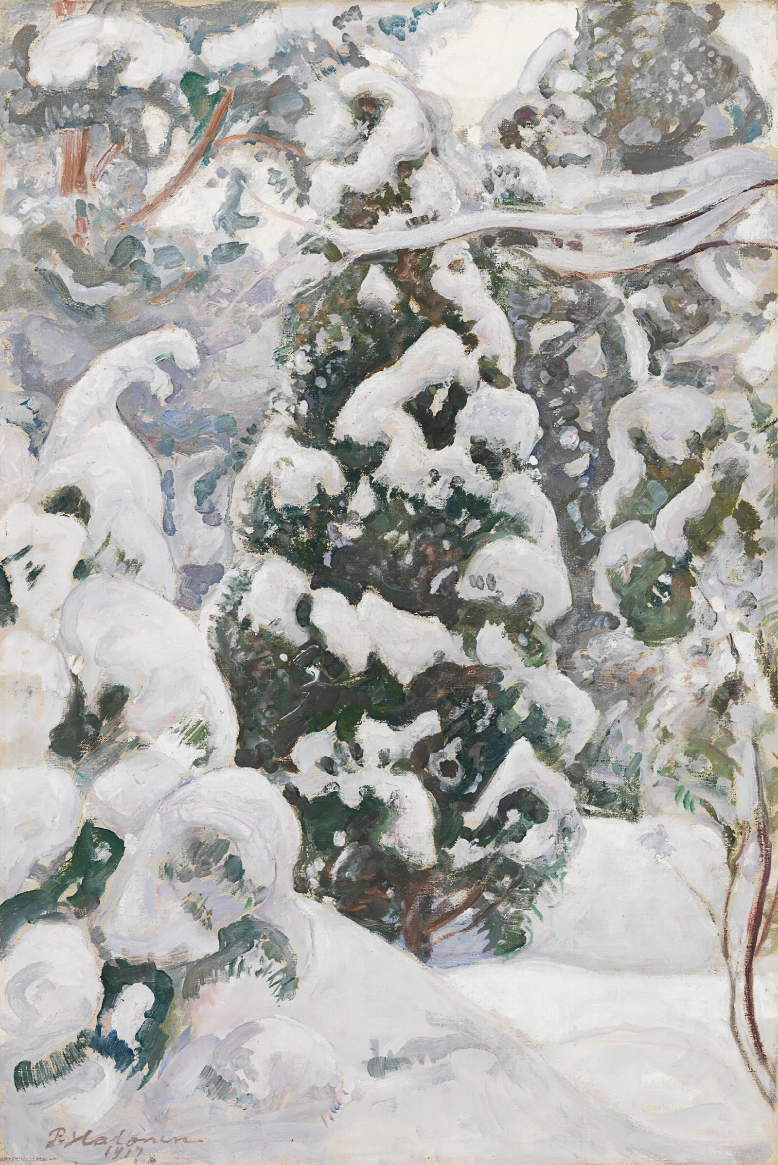 Juniper Tree In Snow Wall Art by Pekka Halonen - Canvas Print