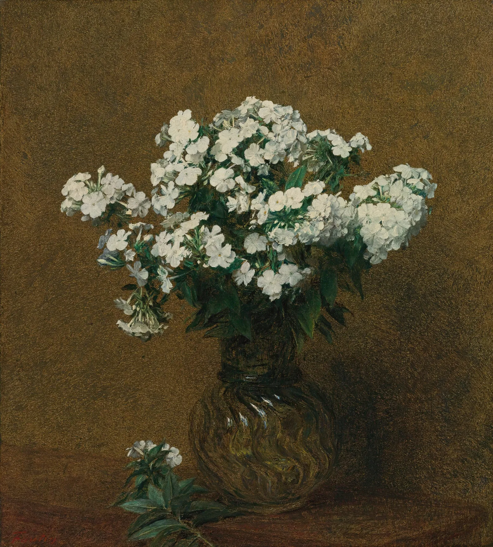 Phlox Blancs Dans Un Vase Wall Art by Henri Fantin-Latour - Canvas Print