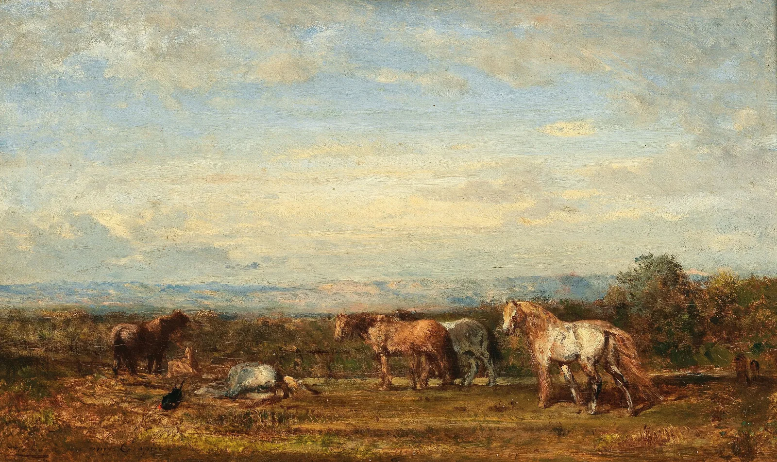Les Chevaux Camarguais Wall Art by Félix Ziem - Canvas Print
