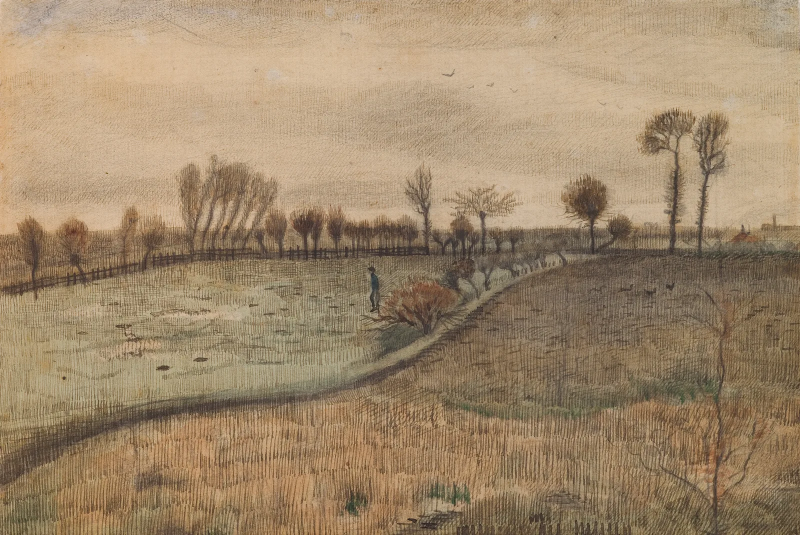 Landscape With Pollard Willows 2 Wall Art by Vincent van Gogh - Canvas Print
