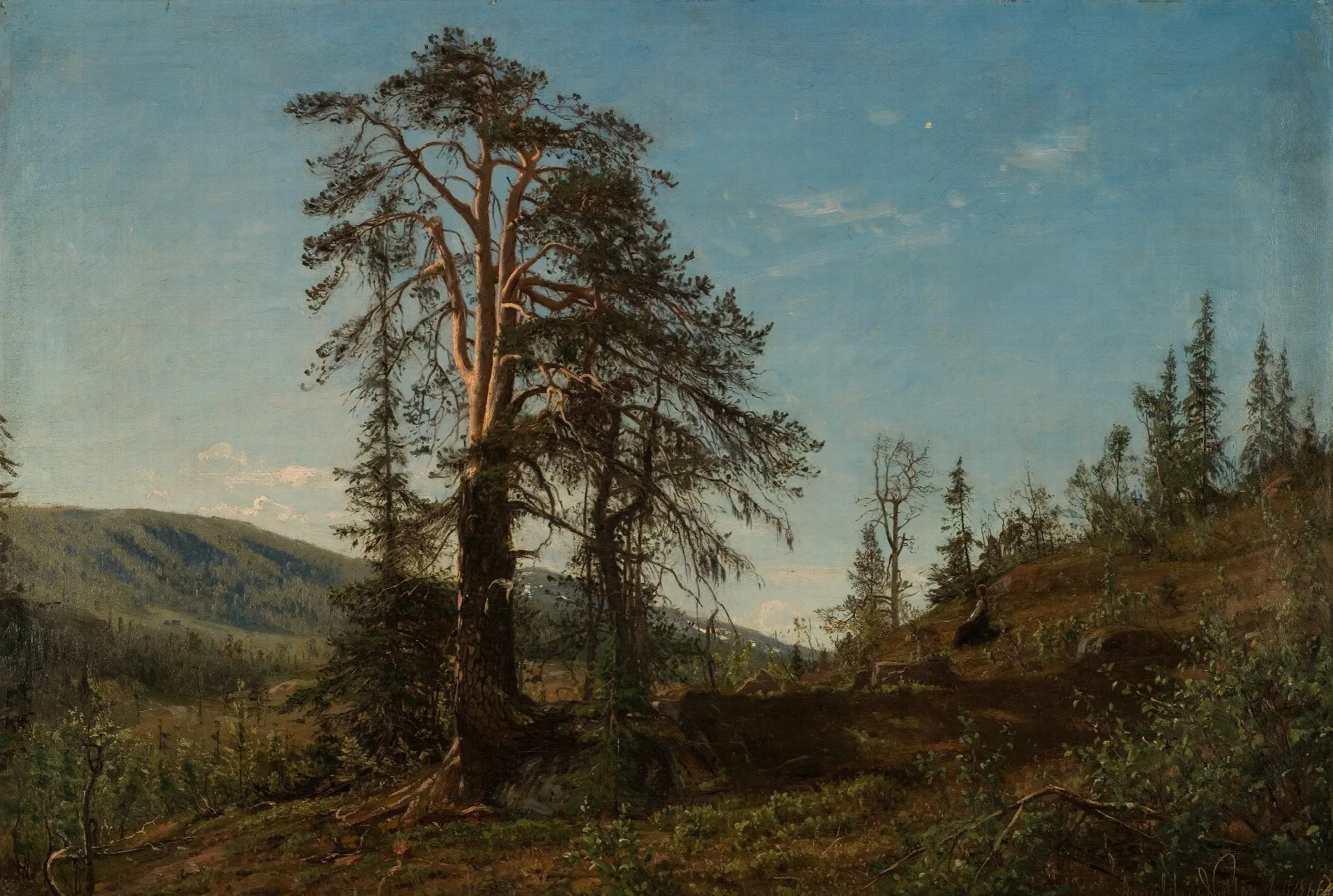 I Vingerasheia Telemark Wall Art by Amaldus Nielsen - Canvas Print