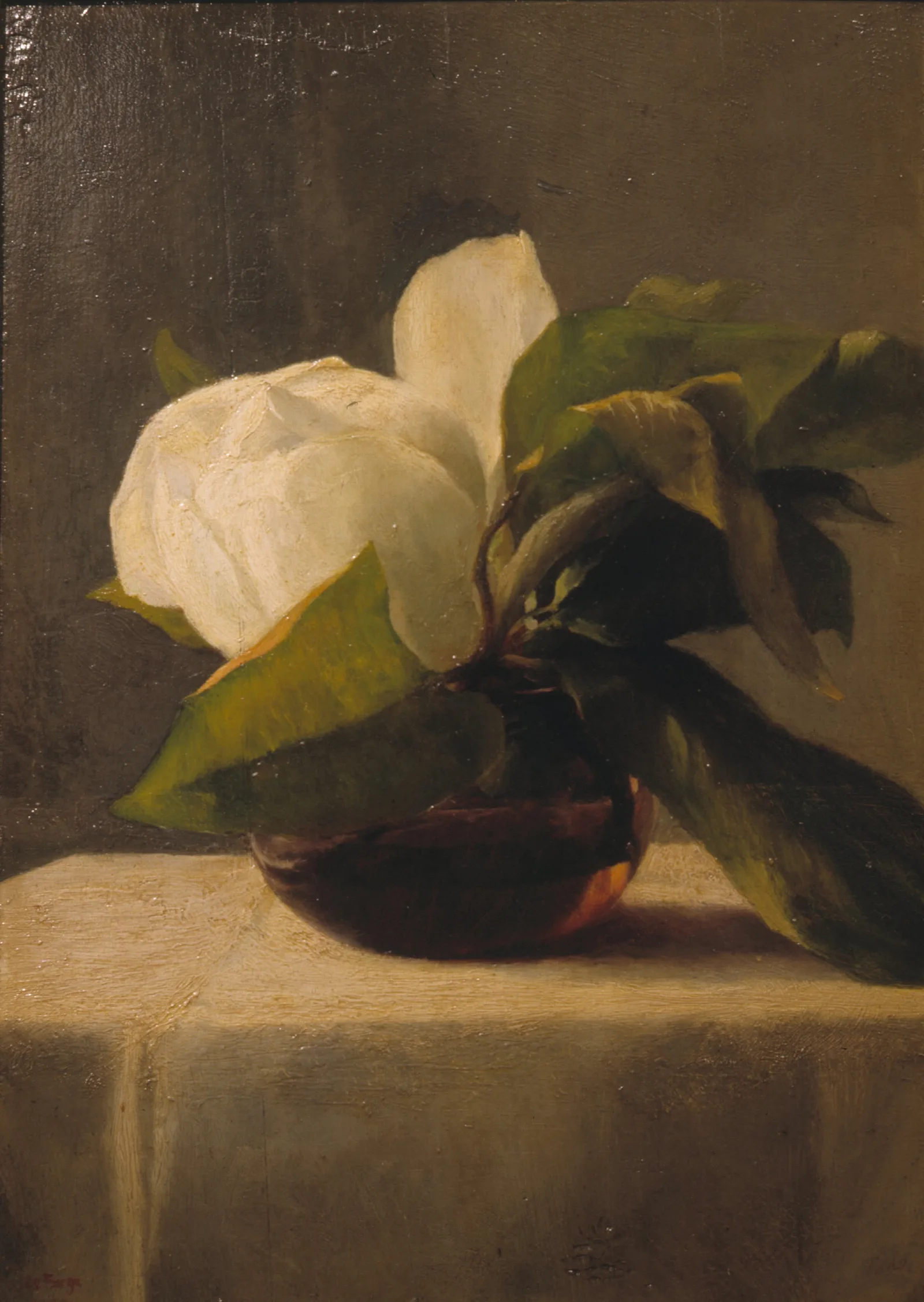 Magnolia 5 Wall Art by John La Farge - Canvas Print