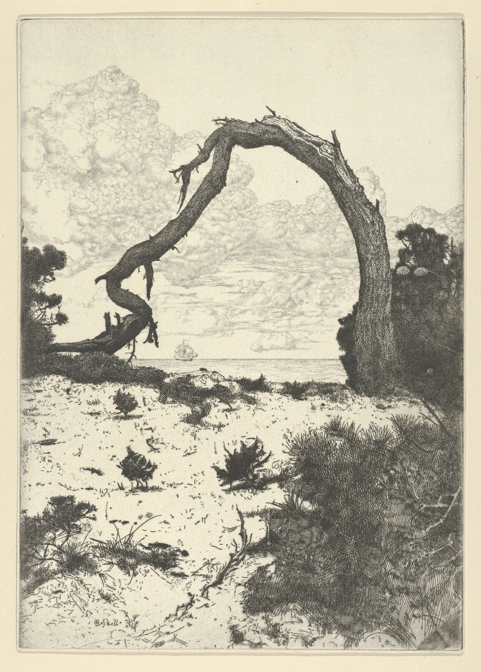 Pine Arch Wall Art by Ernest Haskell - Canvas Print