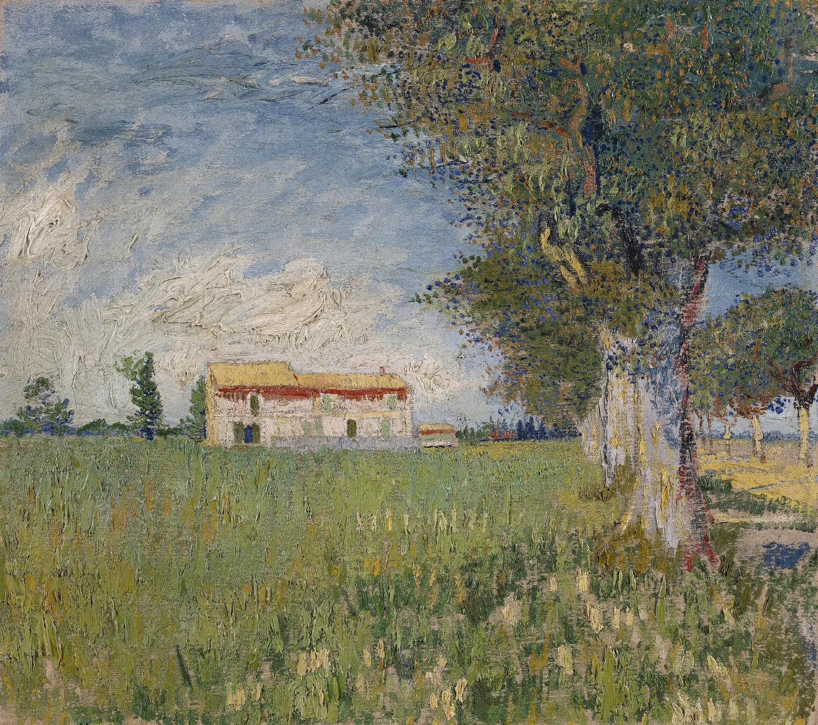 Farmhouse In A Wheat Field Wall Art by Vincent van Gogh - Canvas Print
