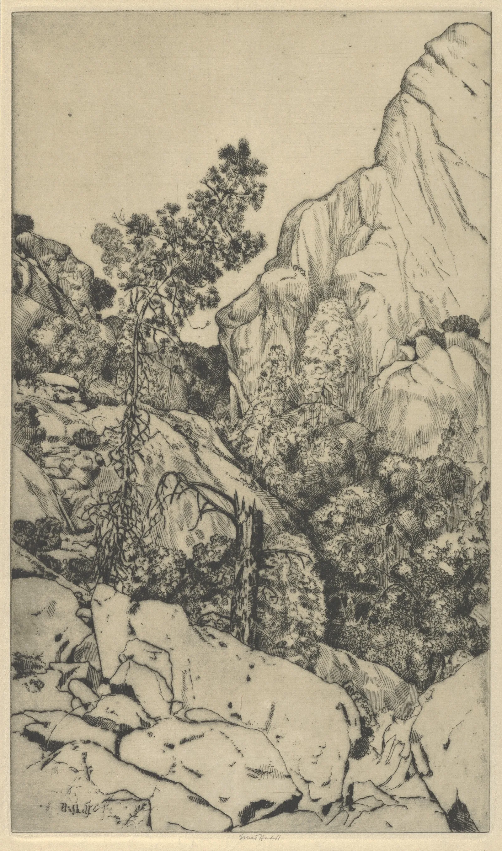 Pines And Pinnacles Wall Art by Ernest Haskell - Canvas Print