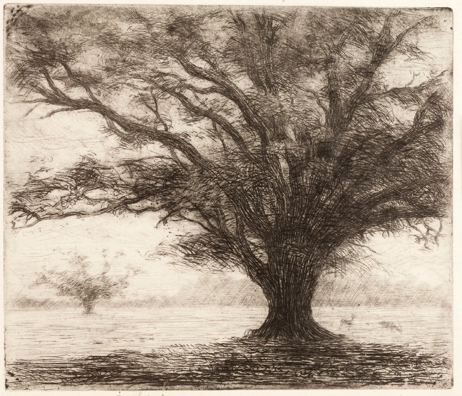 A Tree In The Hampton Court Park Near London Wall Art by Józef Pankiewicz - Canvas Print