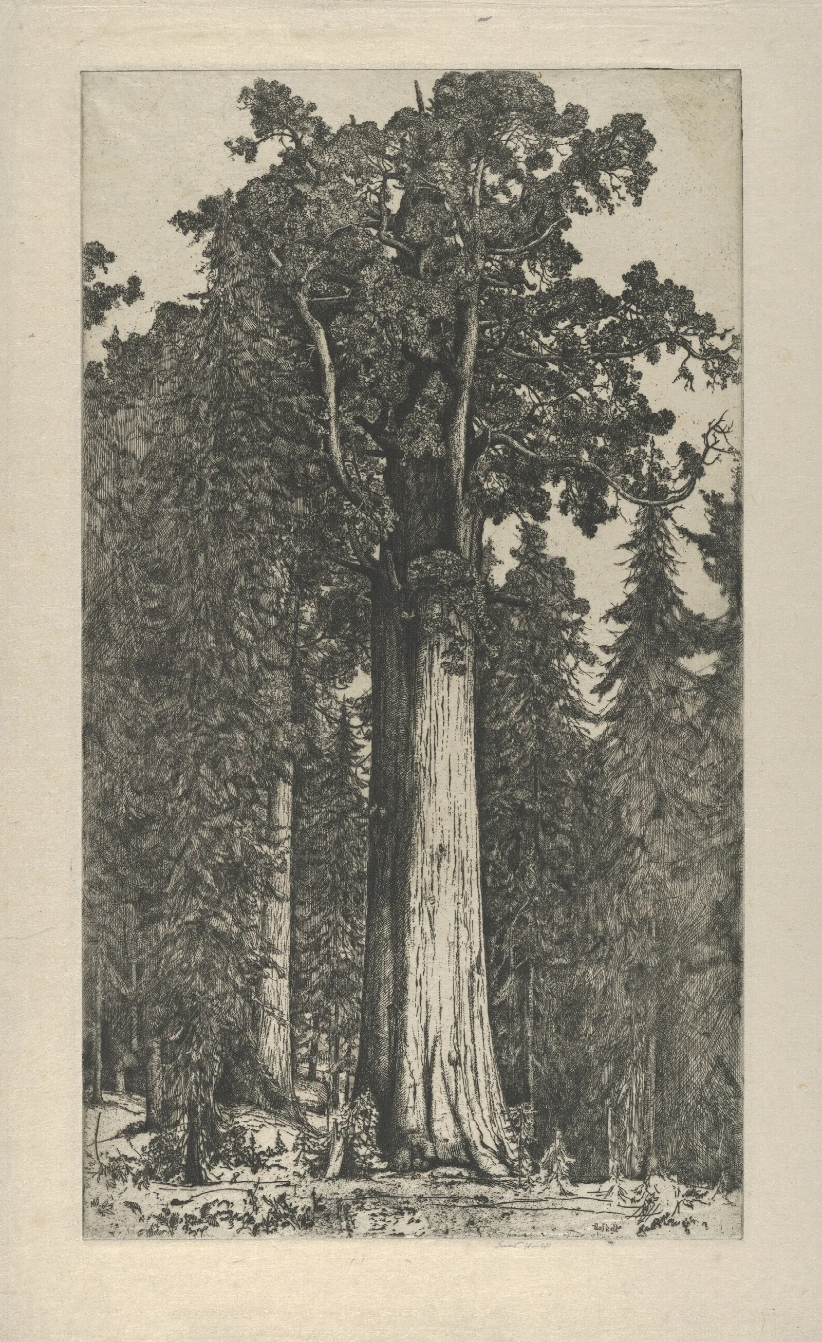 General Sherman Wall Art by Ernest Haskell - Canvas Print