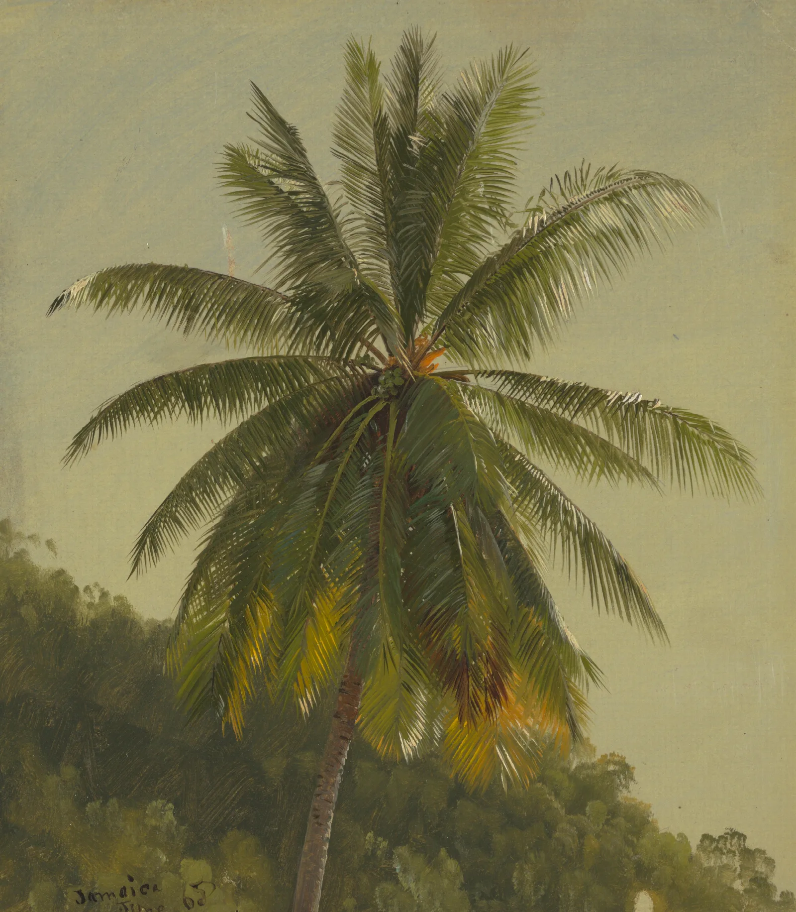 Palm Trees West Indies Wall Art by Frederic Edwin Church - Canvas Print