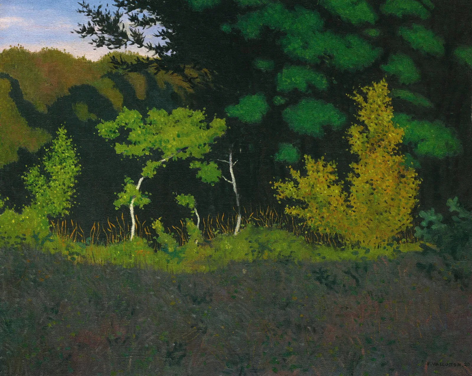 Edge Of The Wood Wall Art by Félix Vallotton - Canvas Print