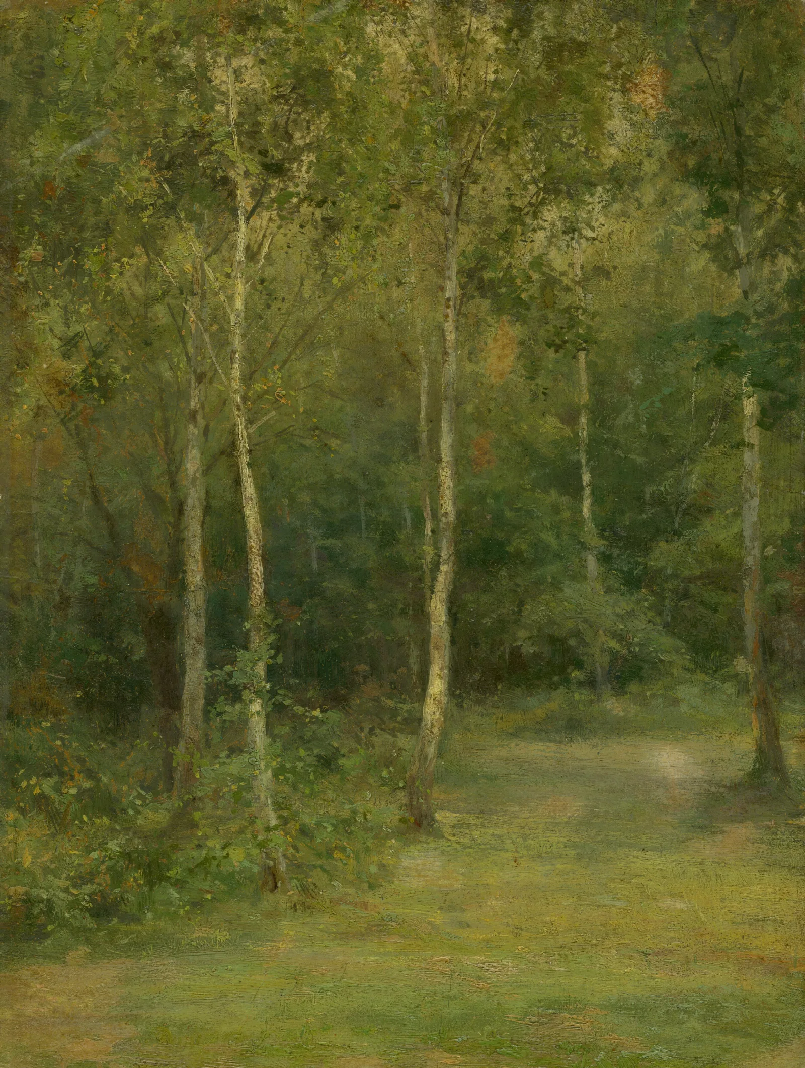 Wooded Landscape With Little Birches Wall Art by Ľudovít Čordák - Canvas Print