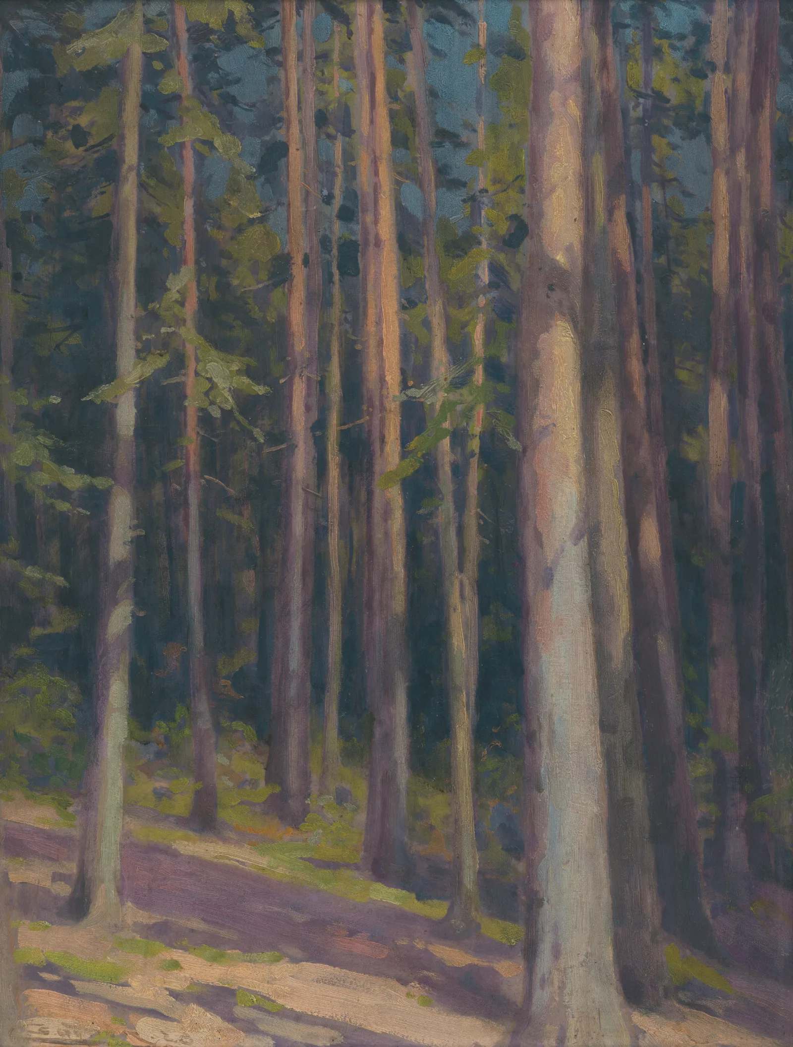 Fir Forest Wall Art by Ľudovít Čordák - Canvas Print