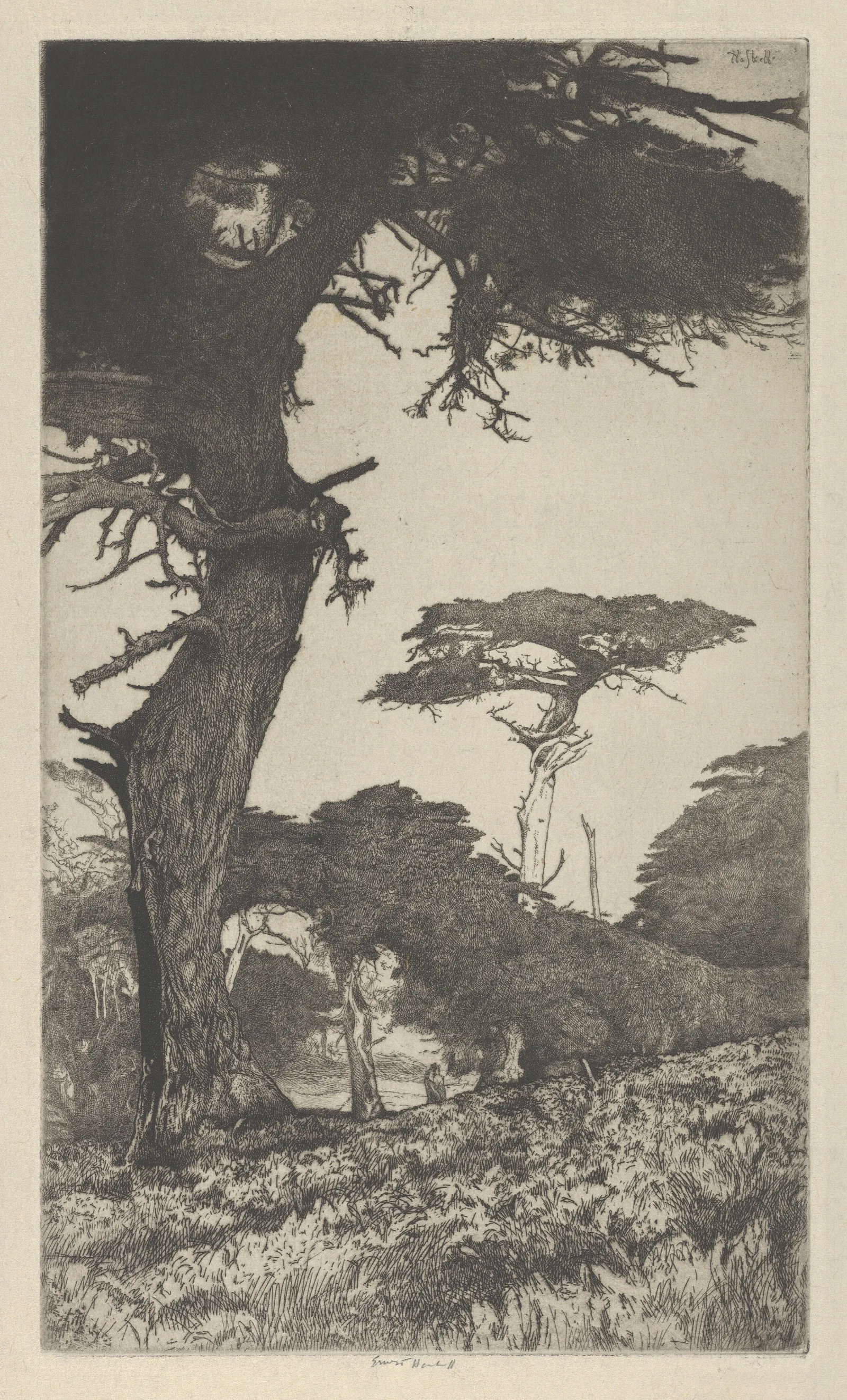 Cypress Vale Wall Art by Ernest Haskell - Canvas Print
