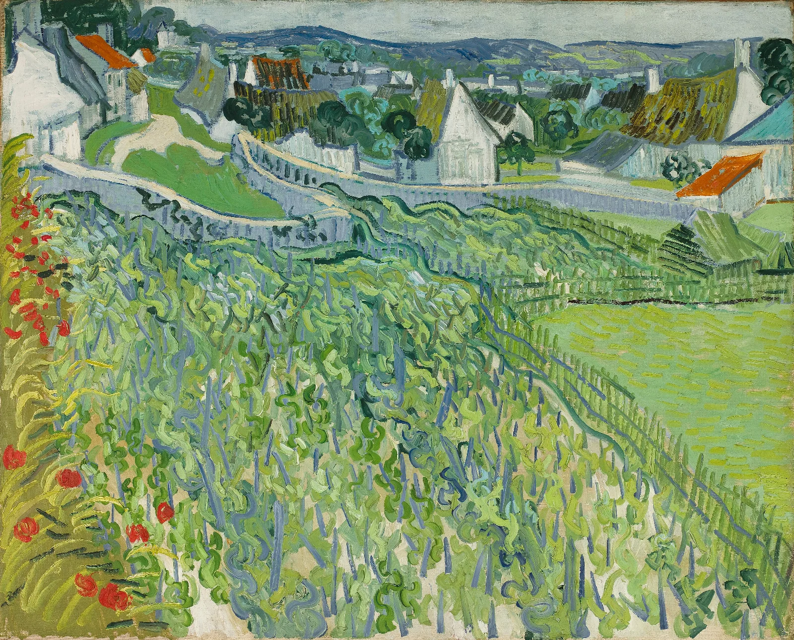 Vineyards At Auvers Wall Art by Vincent van Gogh - Canvas Print