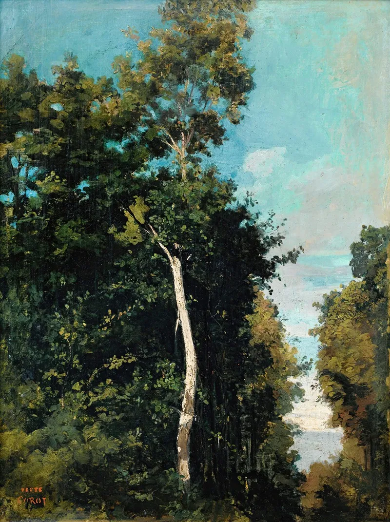 Forest On The Grace Coast In Honfleur Wall Art by Jean-Baptiste-Camille Corot - Canvas Print
