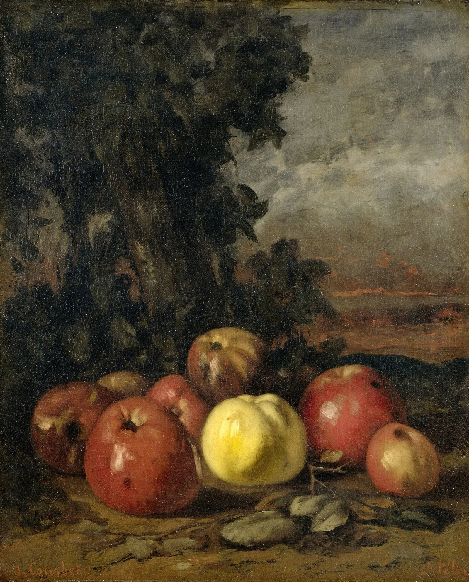 Still Life With Apples 8 Wall Art by Gustave Courbet - Canvas Print