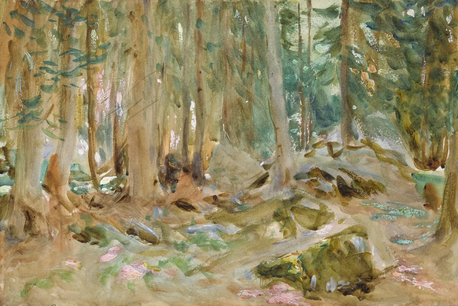 Pine Woods Purtud Wall Art by John Singer Sargent - Canvas Print