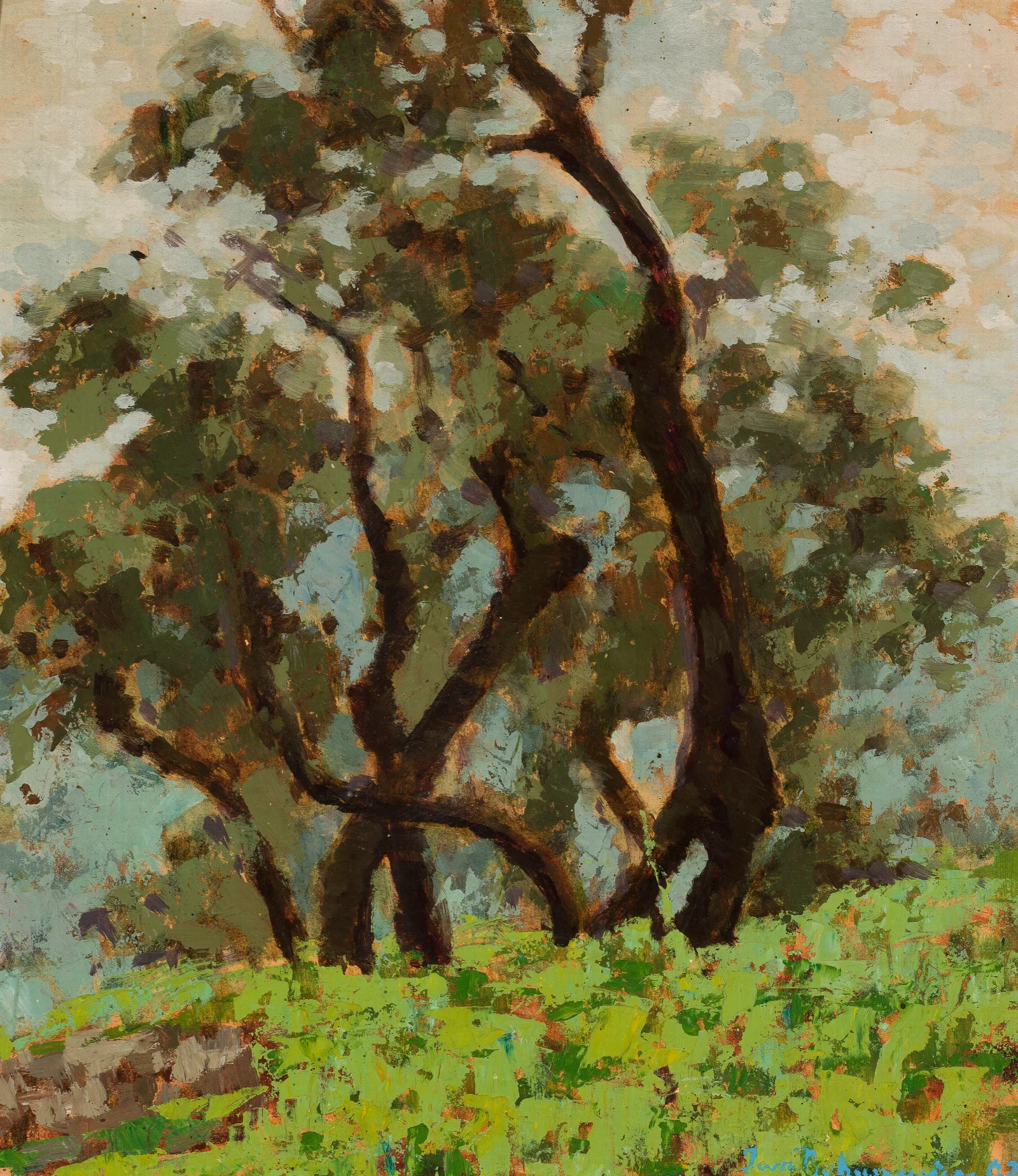 Olives Before Rain Wall Art by Jan Bohuszewicz - Canvas Print
