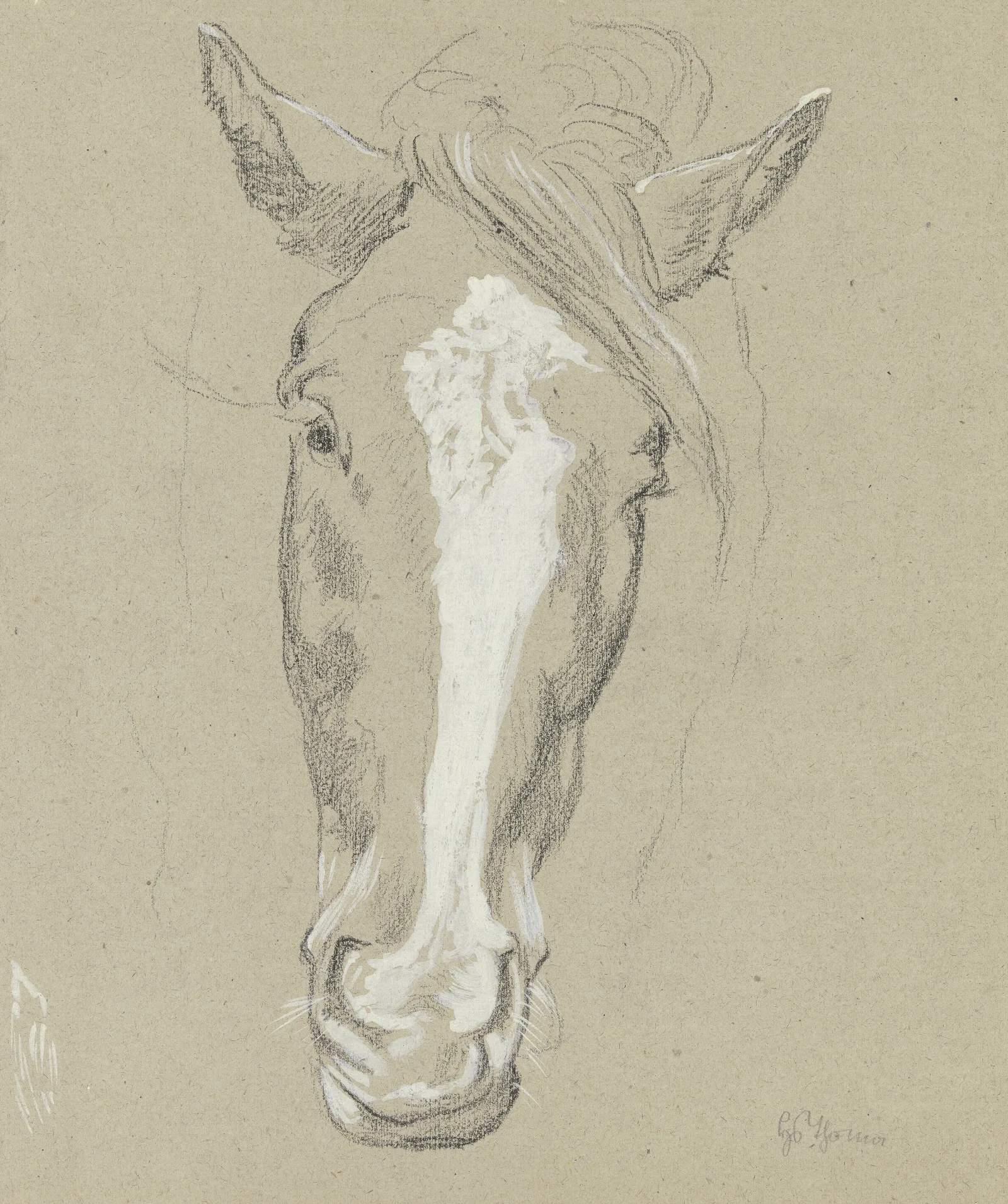 Horse Head 2 Wall Art by Hans Thoma - Canvas Print