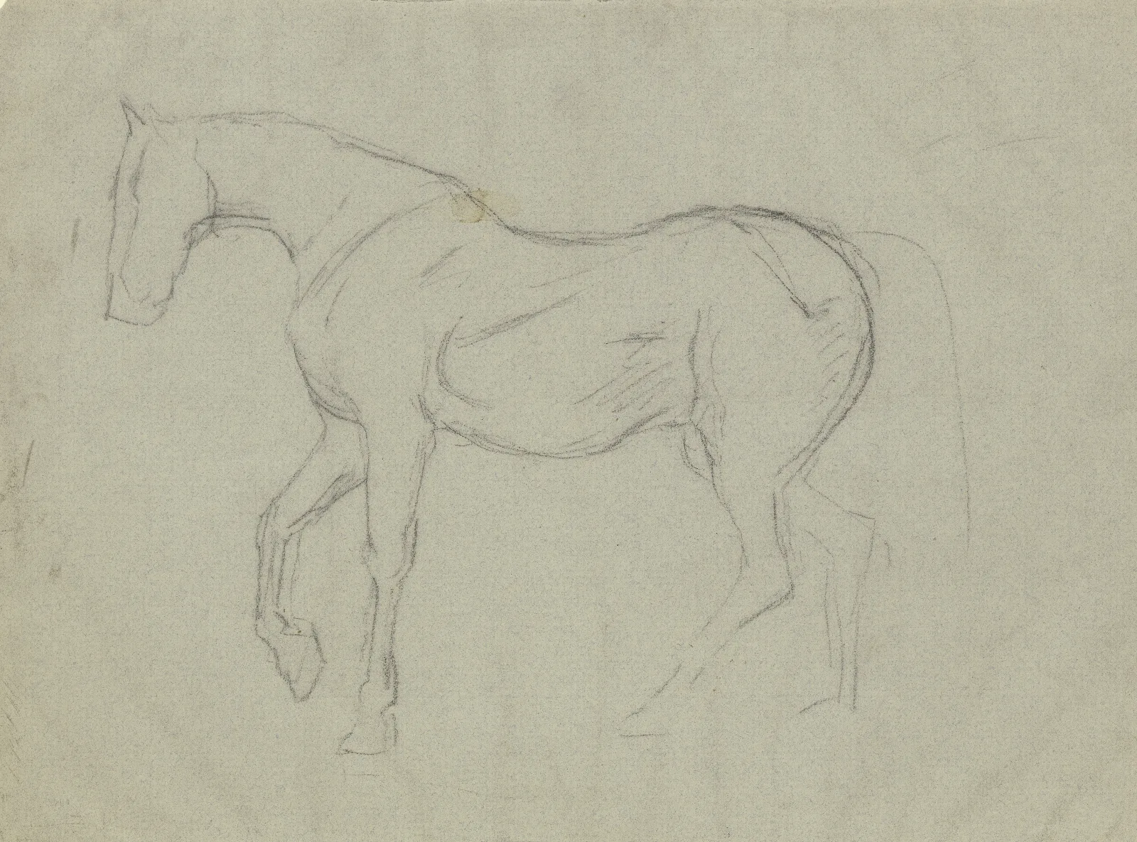 Horse Study 3 Wall Art by Hans Thoma - Canvas Print