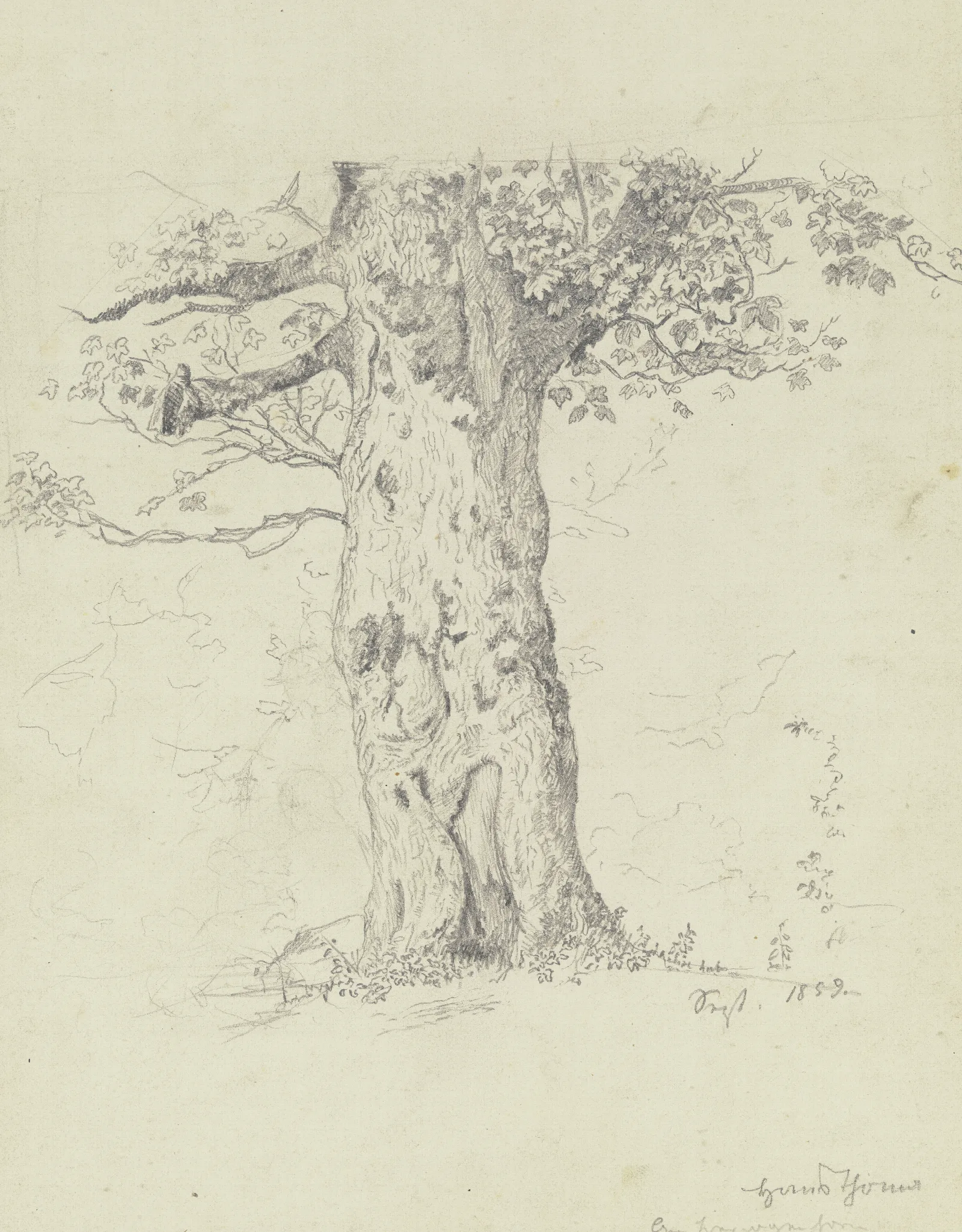 Tree 14 Wall Art by Hans Thoma - Canvas Print