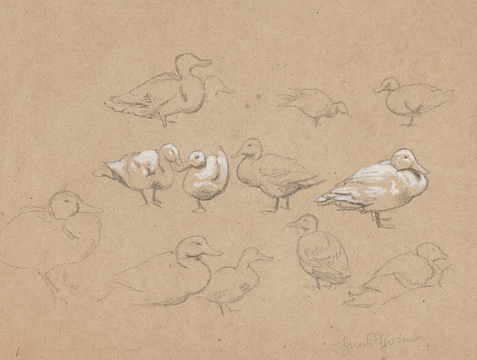 Ducks 11 Wall Art by Hans Thoma - Canvas Print