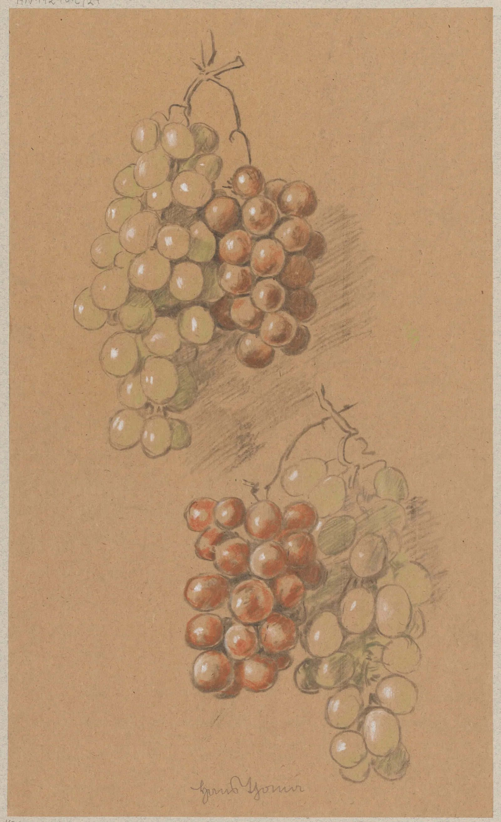 Grapes 7 Wall Art by Hans Thoma - Canvas Print
