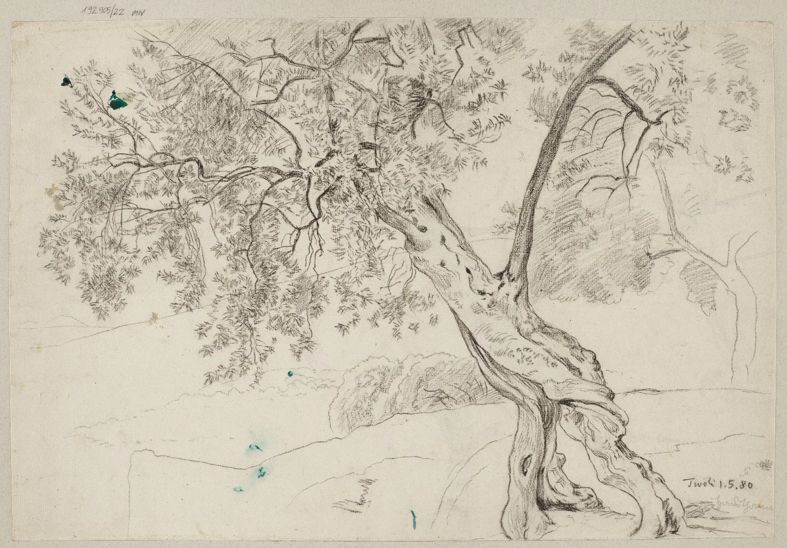 Olive Trees In Tivoli Wall Art by Hans Thoma - Canvas Print