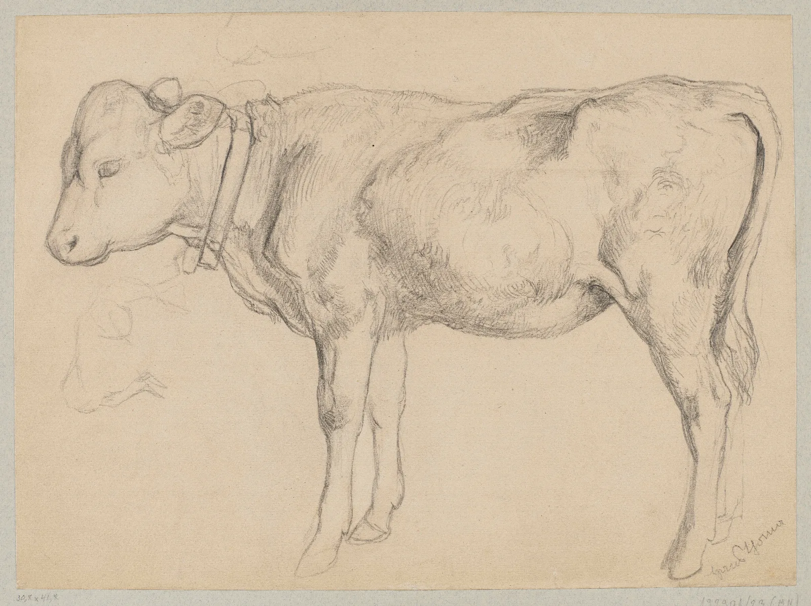 Sketch Of A Bull In Profile Wall Art by Hans Thoma - Canvas Print