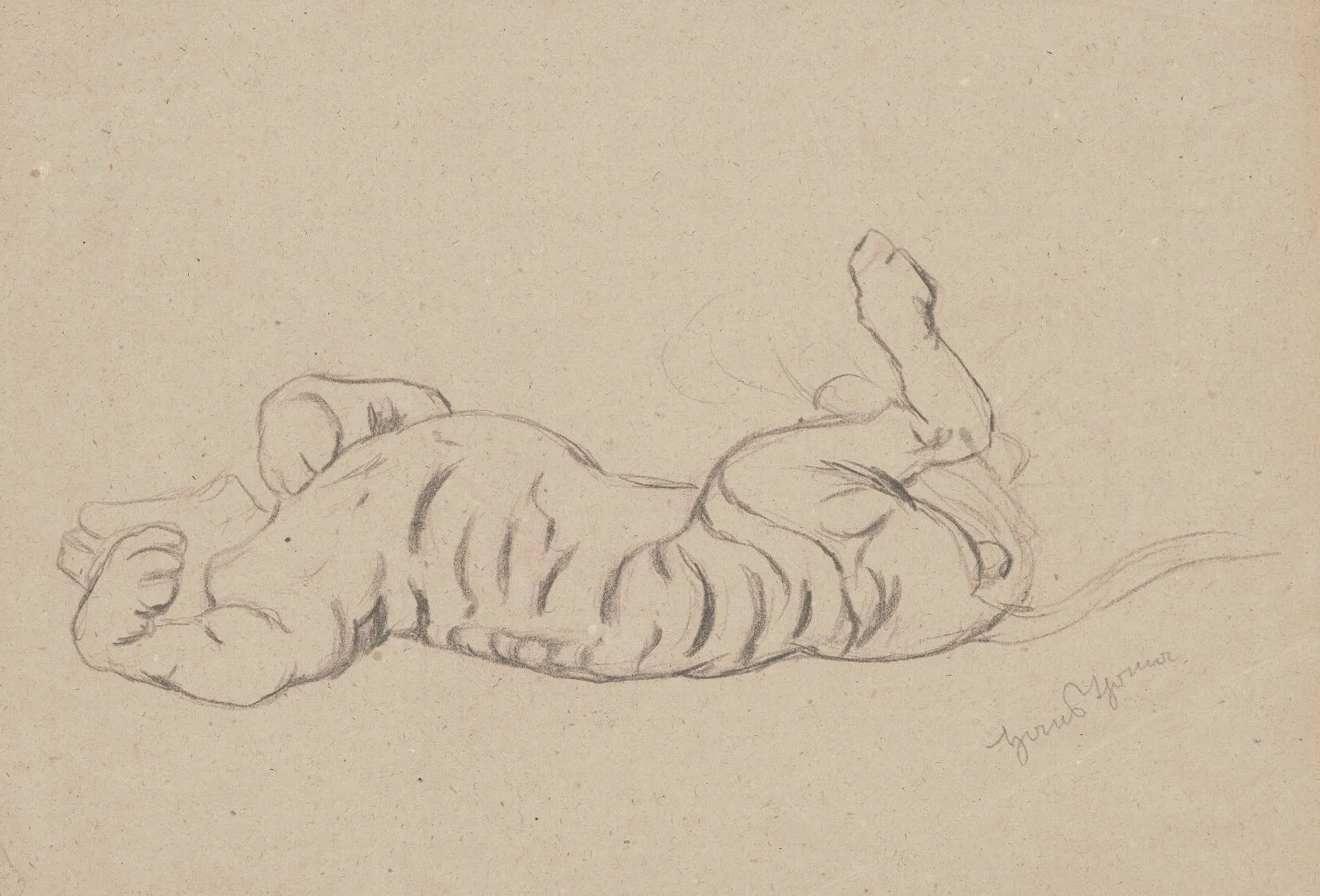 Study Of A Stretching Tiger Wall Art by Hans Thoma - Canvas Print