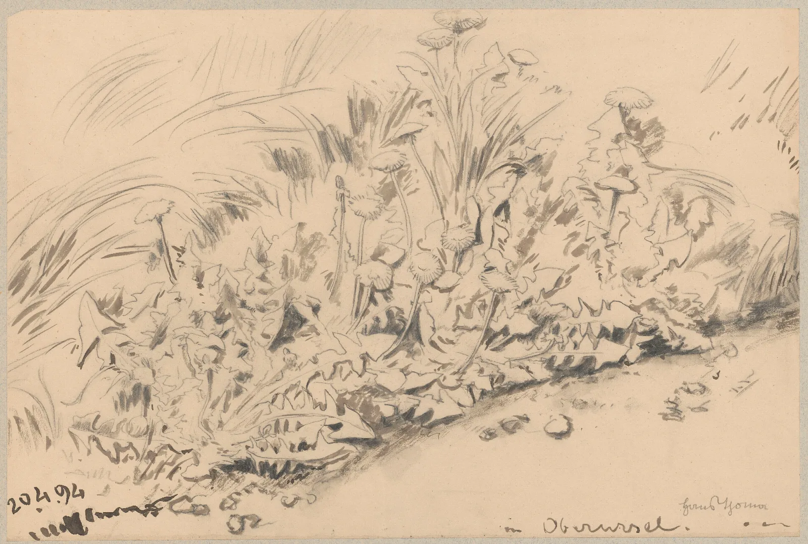Study Of Plants 7 Wall Art by Hans Thoma - Canvas Print