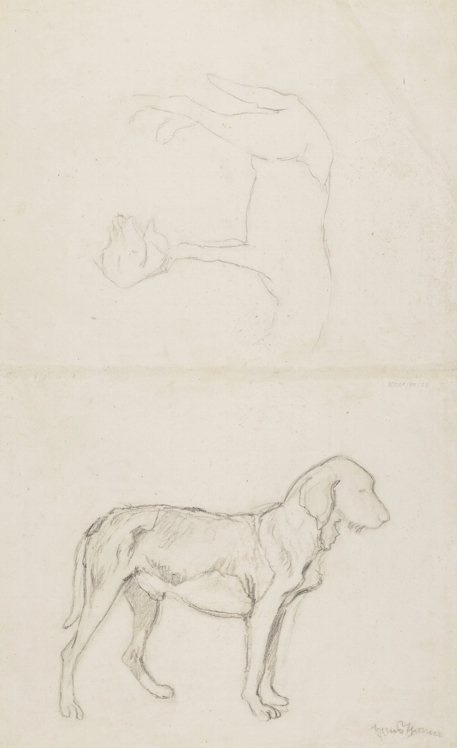 Three Studies Of A Dog Wall Art by Hans Thoma - Canvas Print